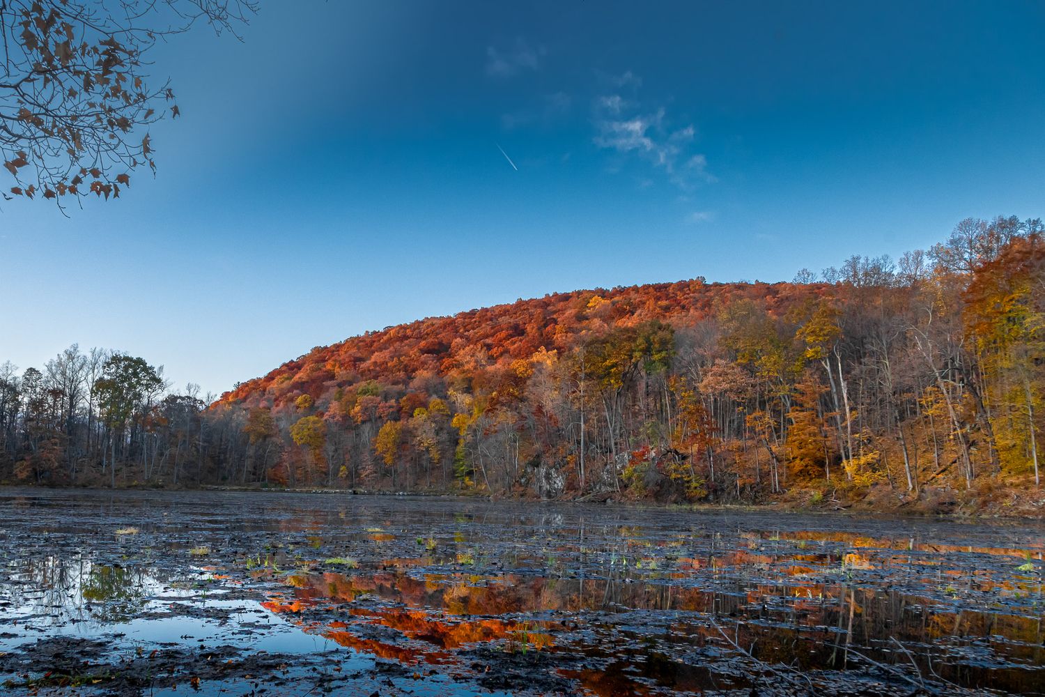Fall foliage reflected in the shallow waters of Ghost Lake in Great Meadows, New Jersey.