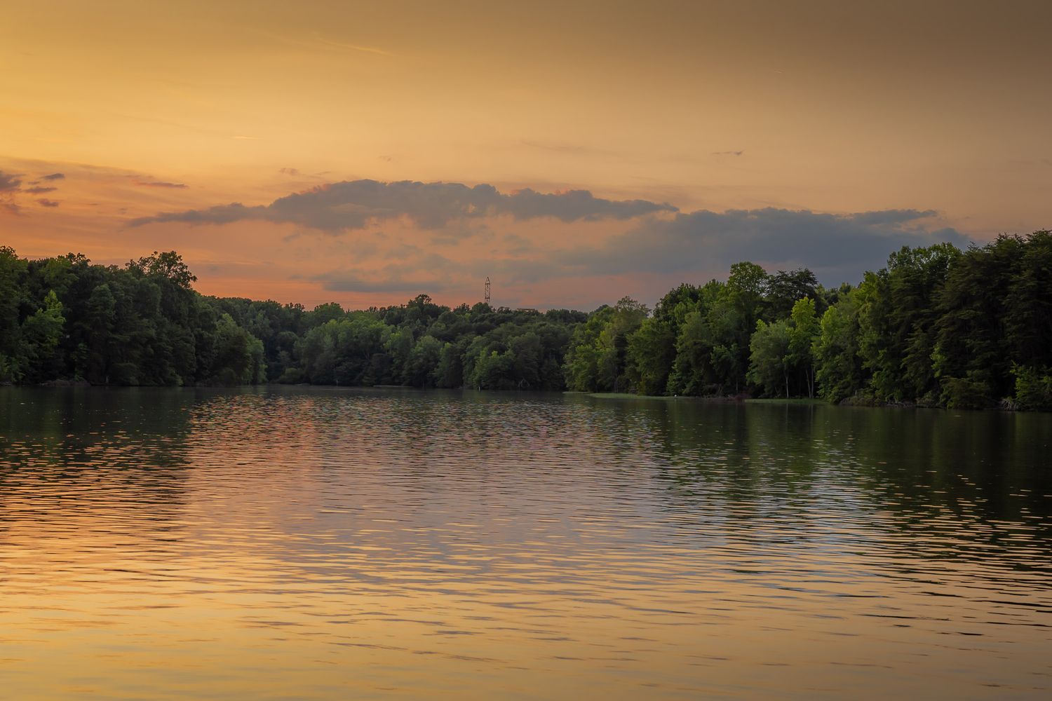 Golden sunset reflecting on a calm lake in High Point, North Carolina, framed by tree-lined shores and soft evening clouds.