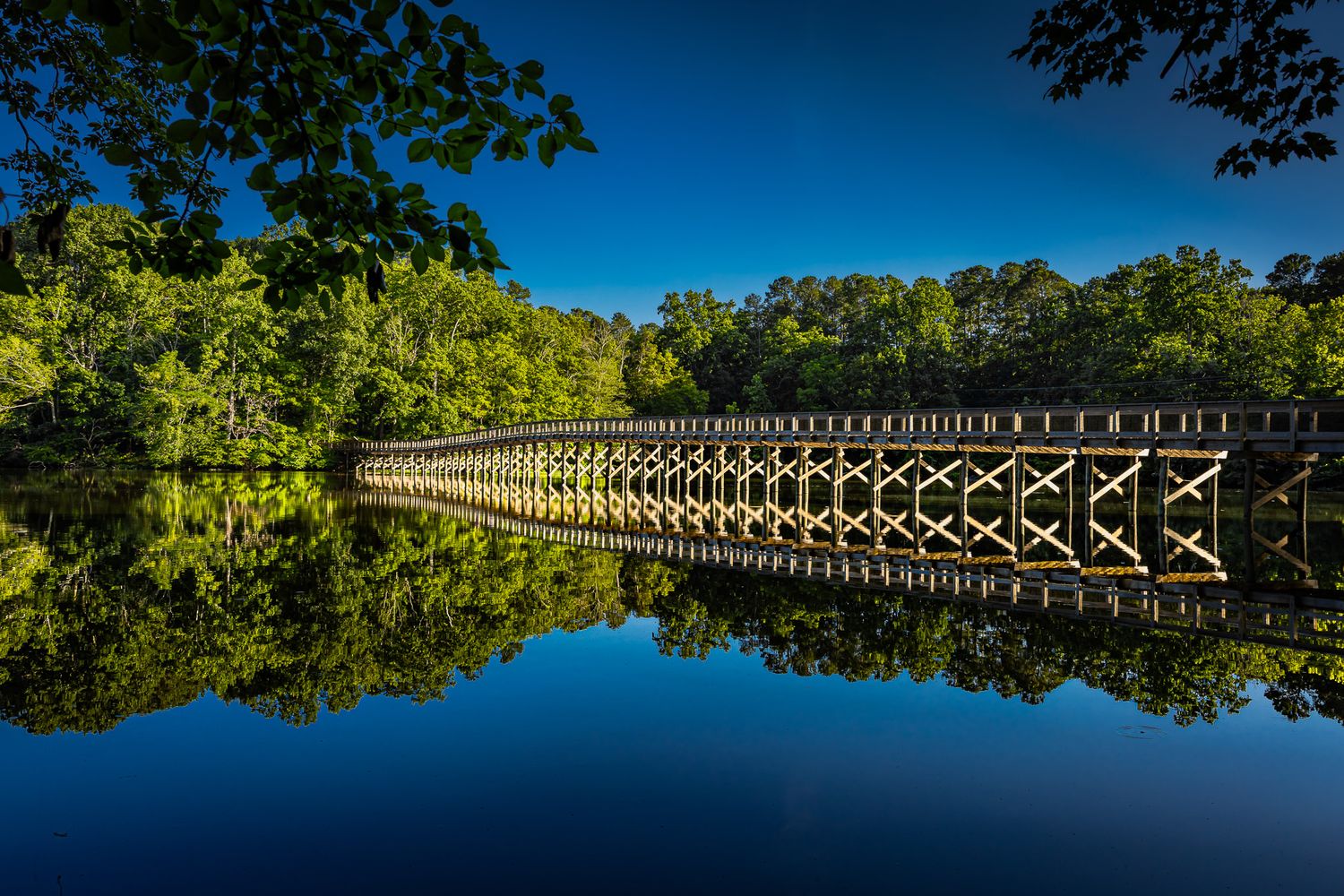 Wooden pedestrian bridge reflected in calm water, surrounded by lush green trees in High Point, North Carolina.