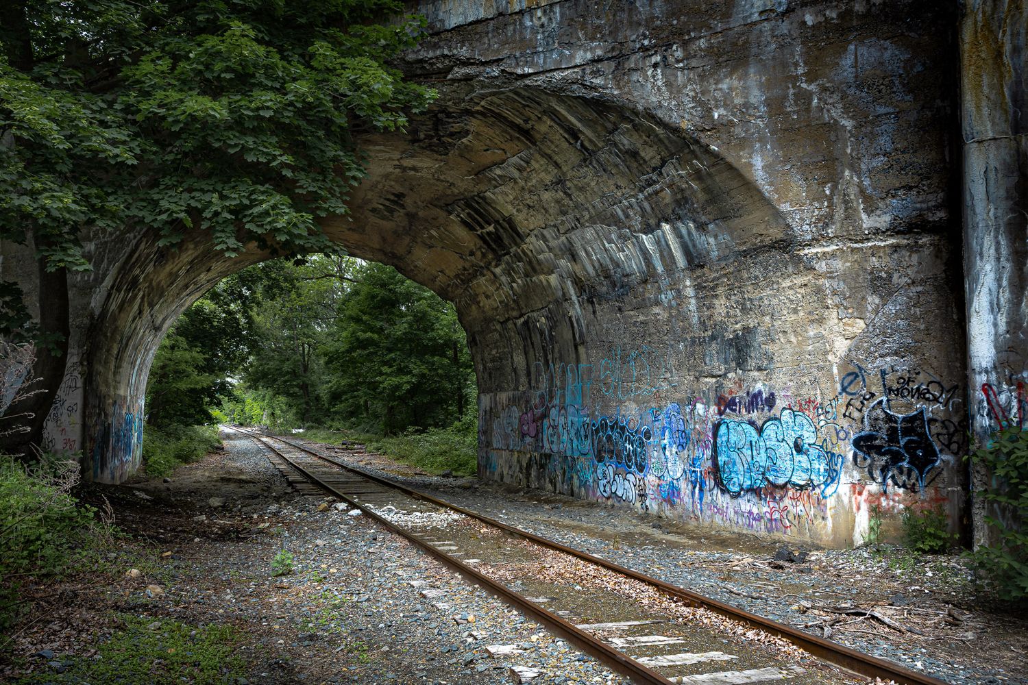 Abandoned train tunnel with graffiti near Portland, Pennsylvania, framed by stone arch and railroad tracks in wooded landscape