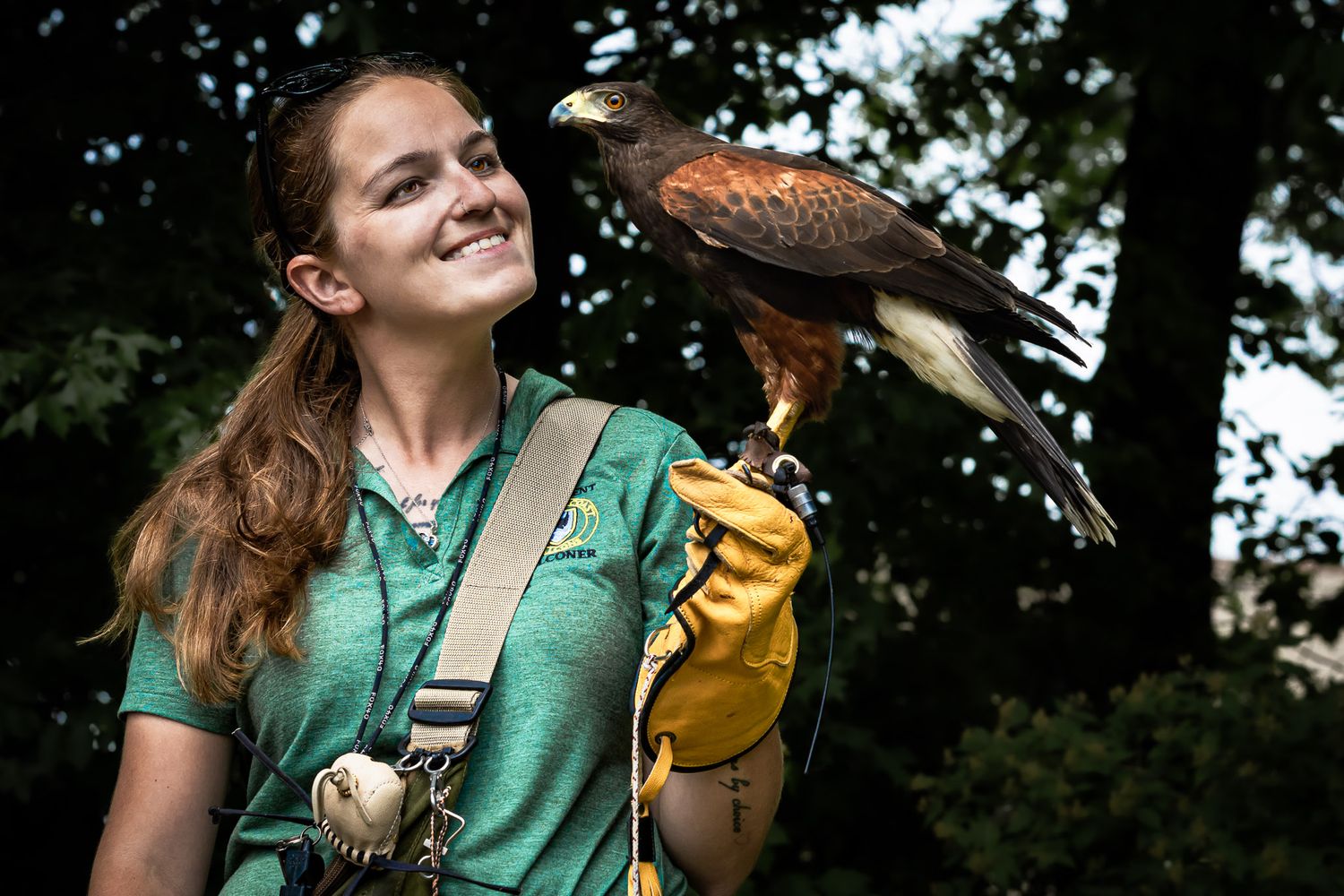 Harris’s hawk with professional handler at outdoor wildlife photography event in Fairfield NJ, captured in natural light