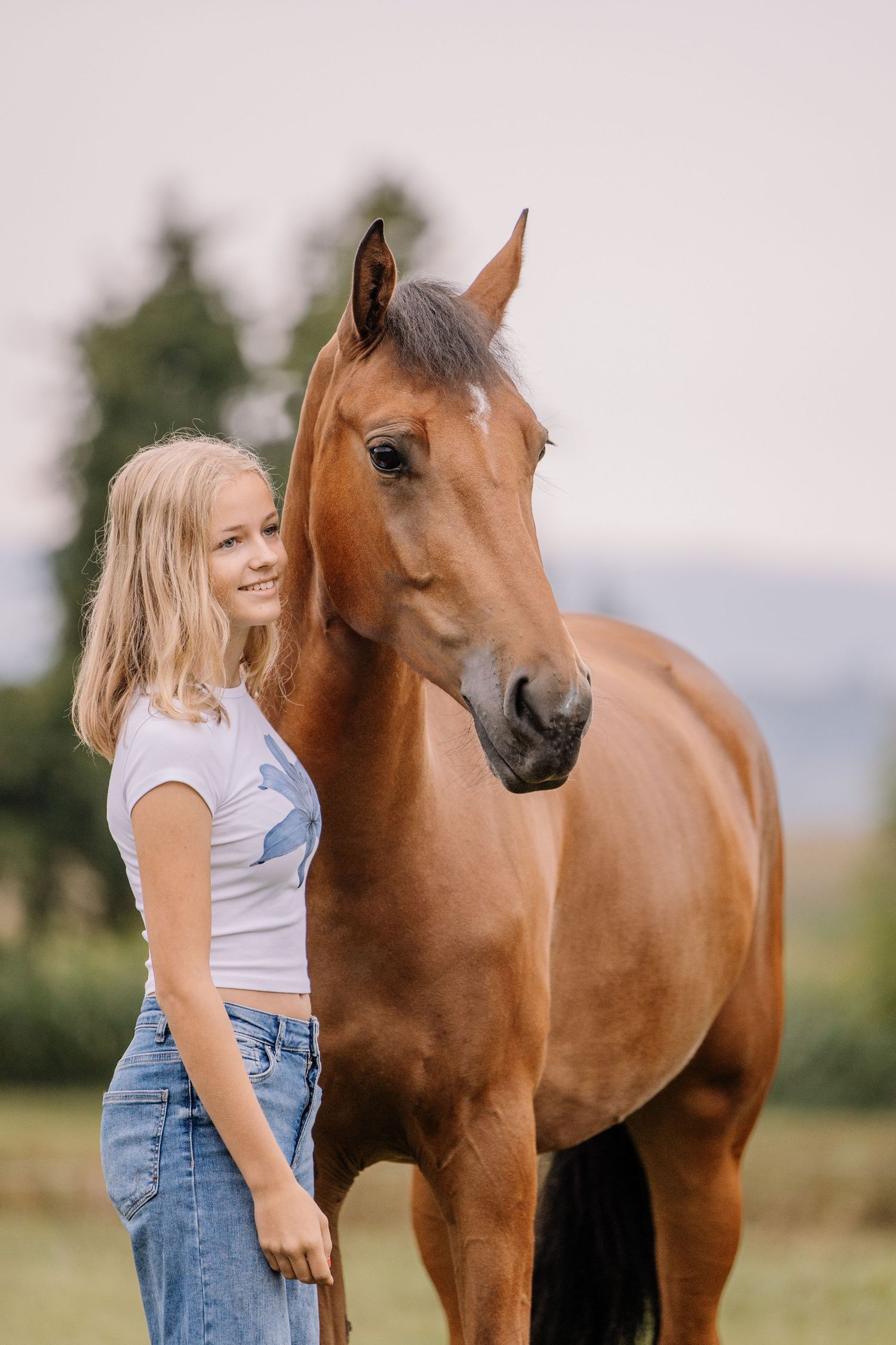 A chestnut horse stands in a sunny field while being admired by someone in casual attire.