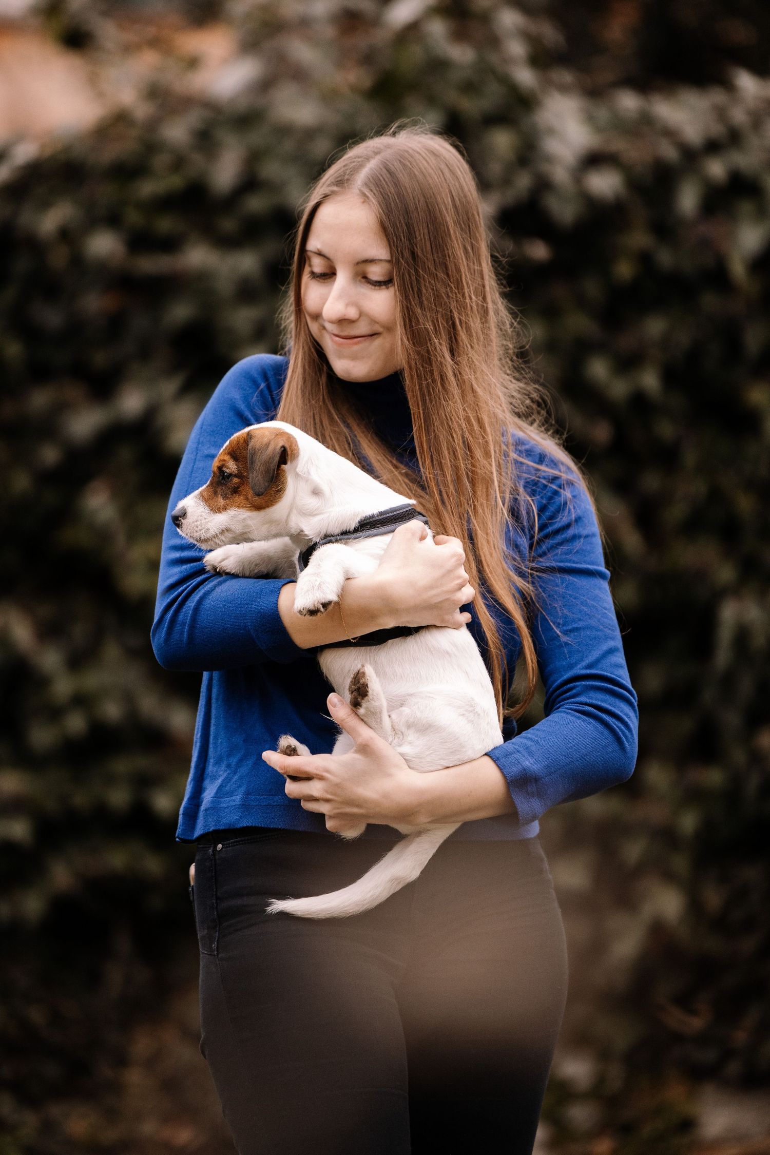 A small white dog being held and cuddled while wearing a blue sweater.