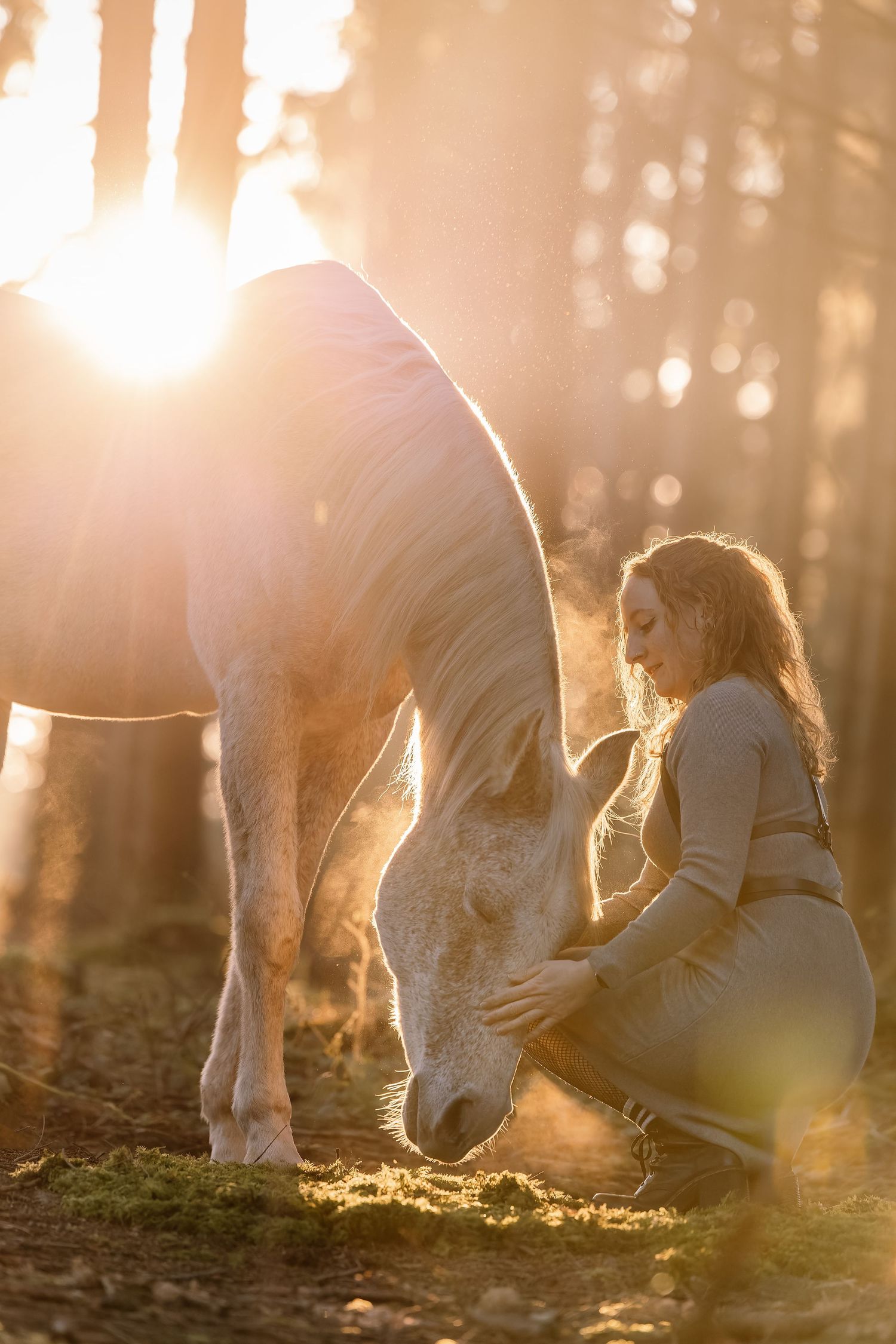 White horse grazes in a sunlit forest with golden rays streaming through trees.