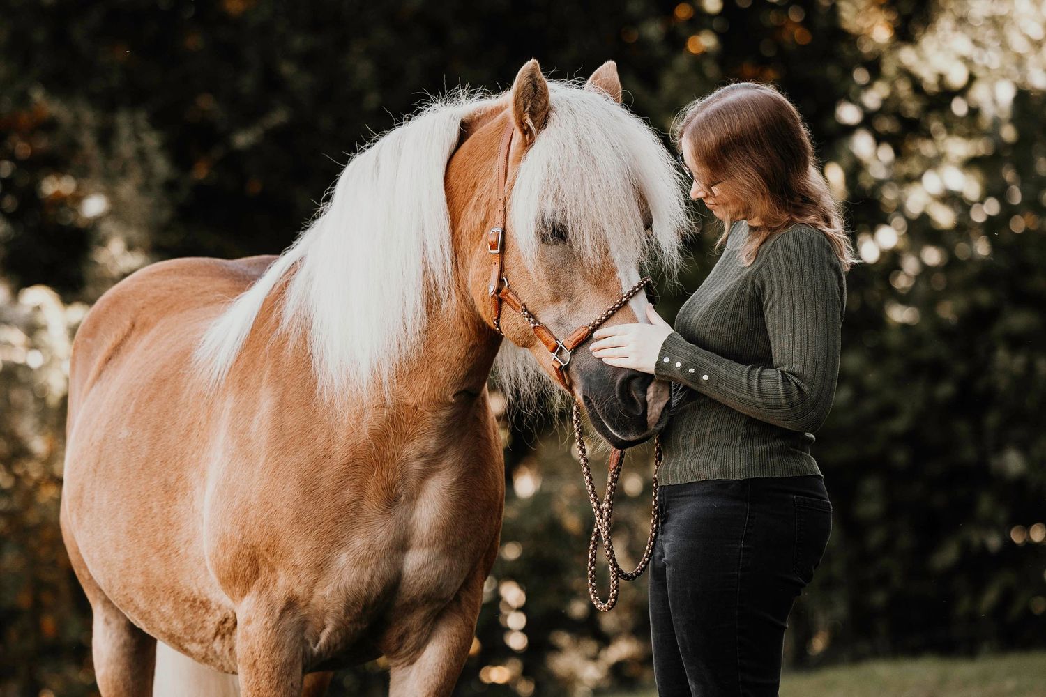 Chestnut horse with blonde mane being handled in an autumn outdoor setting.