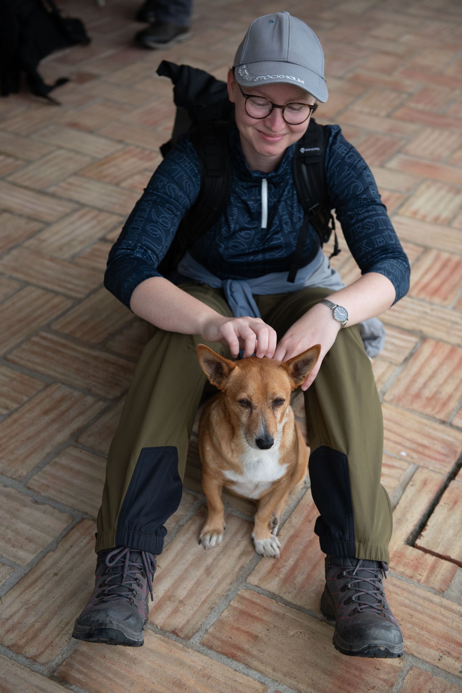 Tan and white dog sitting on herringbone tile floor indoors.