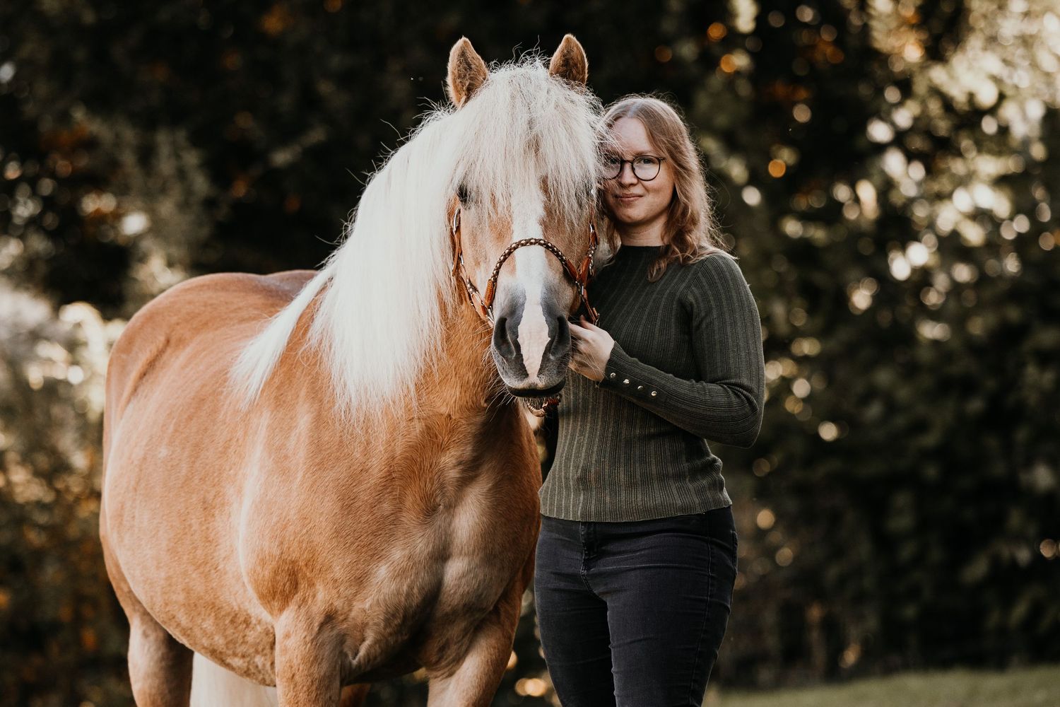 Haflinger horse with flowing mane poses in front of autumn foliage.