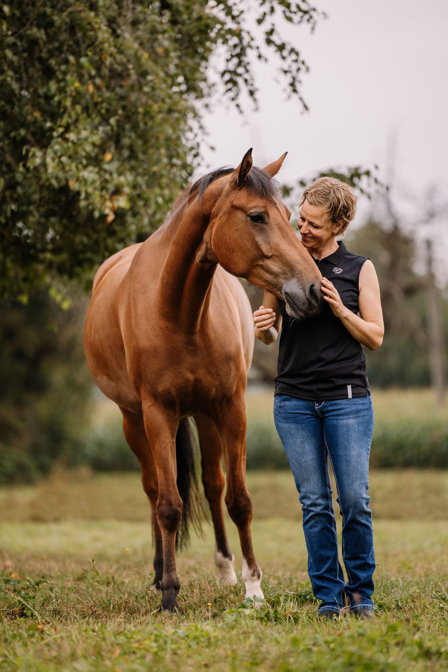 A brown horse grazes in a grassy field while being observed by someone in denim.
