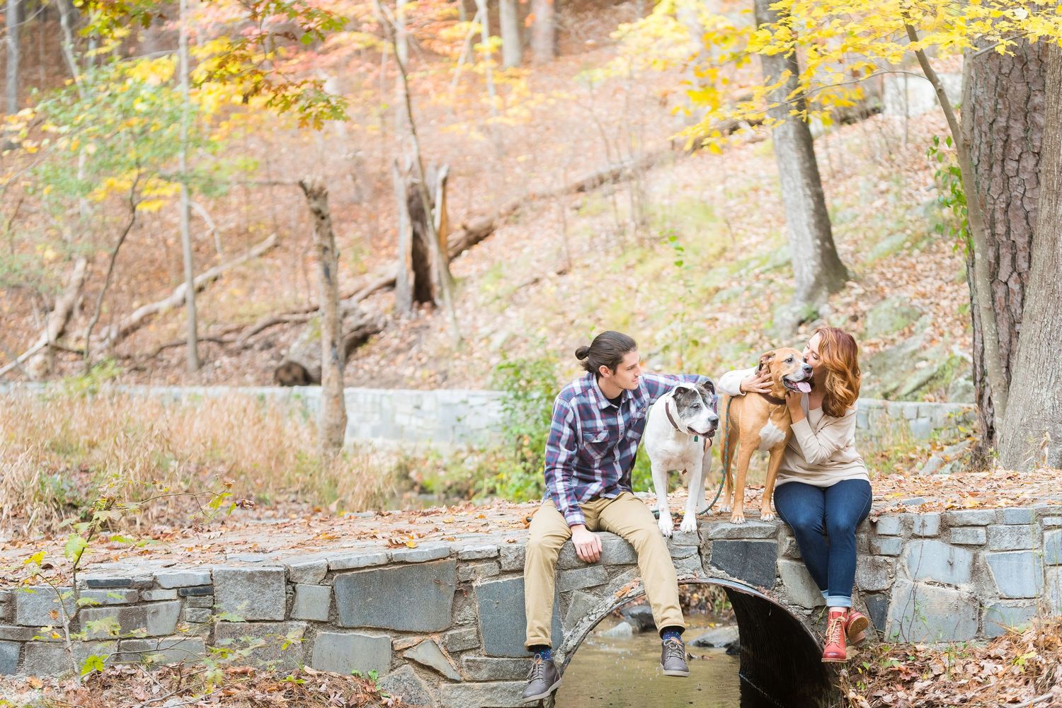 A couple sits with their husky dog on stone steps during an autumn photoshoot.