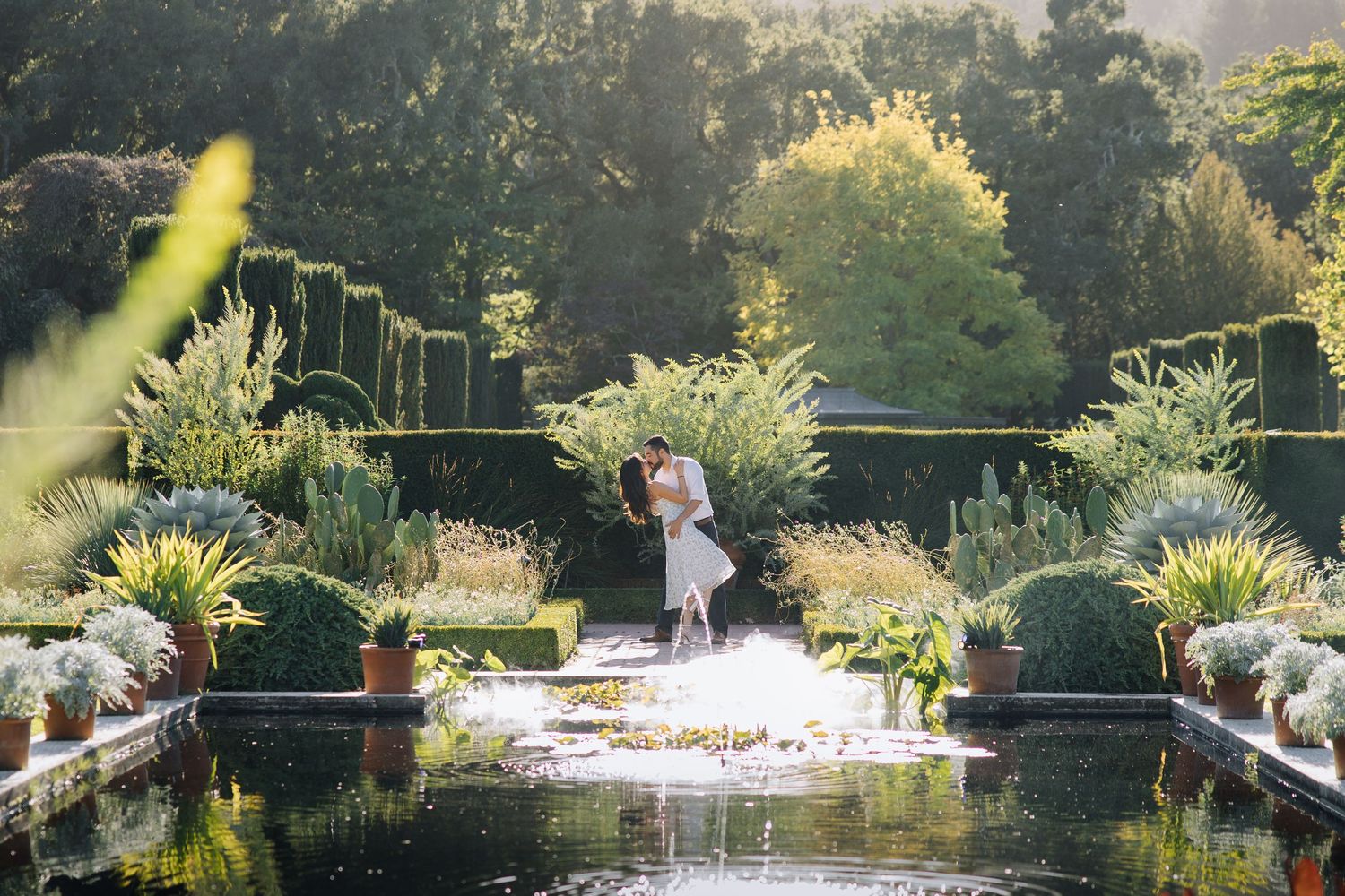 Couple engagement session at Filoli Historic House & World-Class Garden in Woodside, San Mateo