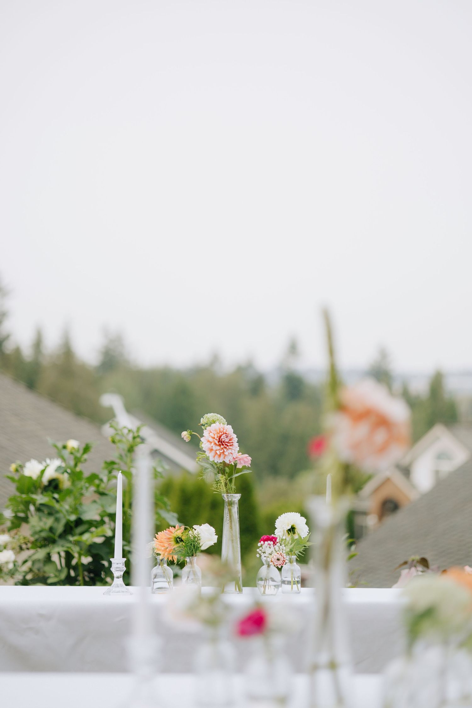 Wedding in Seattle WA