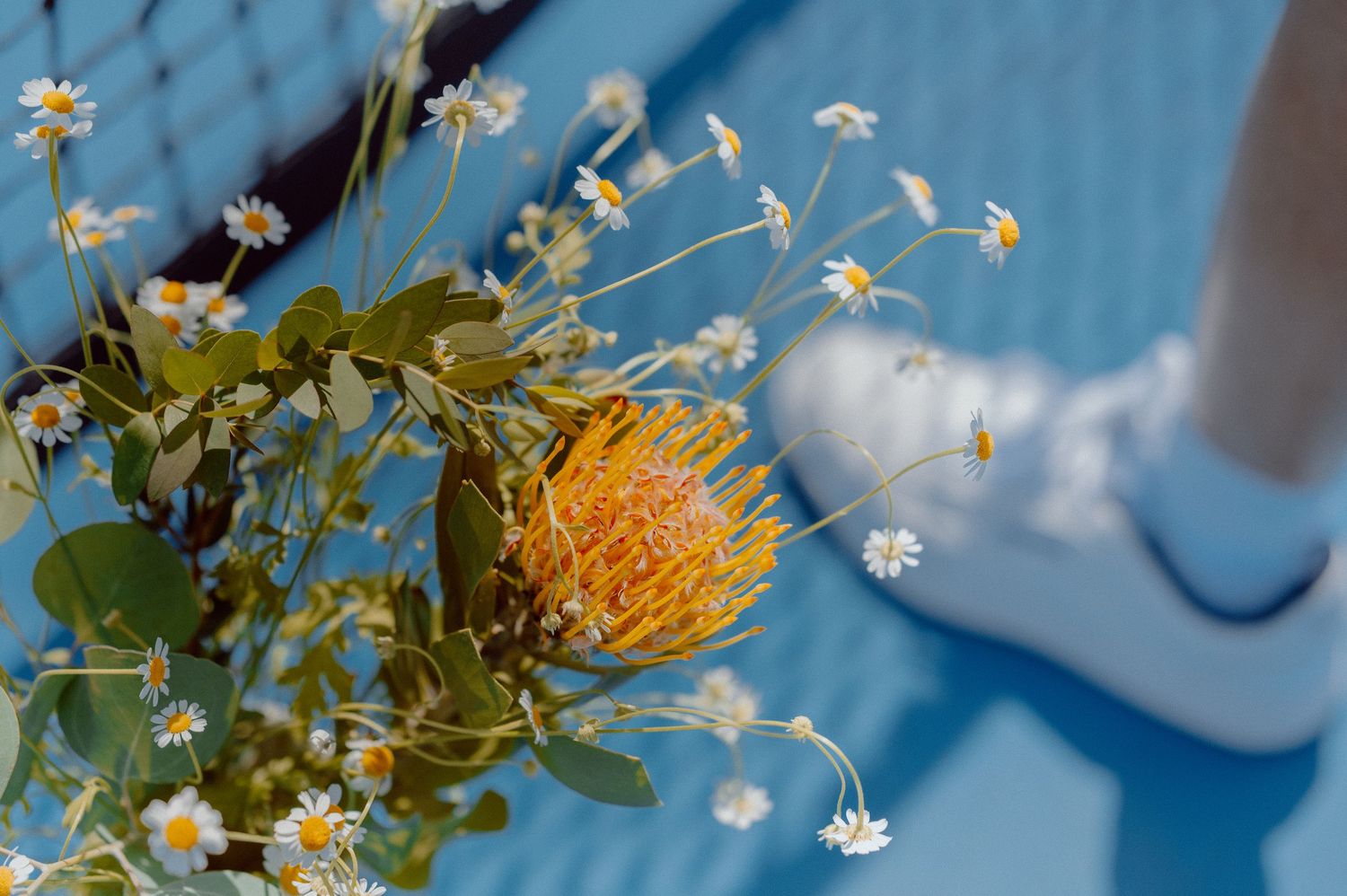 Fresh daisies and yellow pin cushion flowers arranged against a blue background with soft bokeh effect.