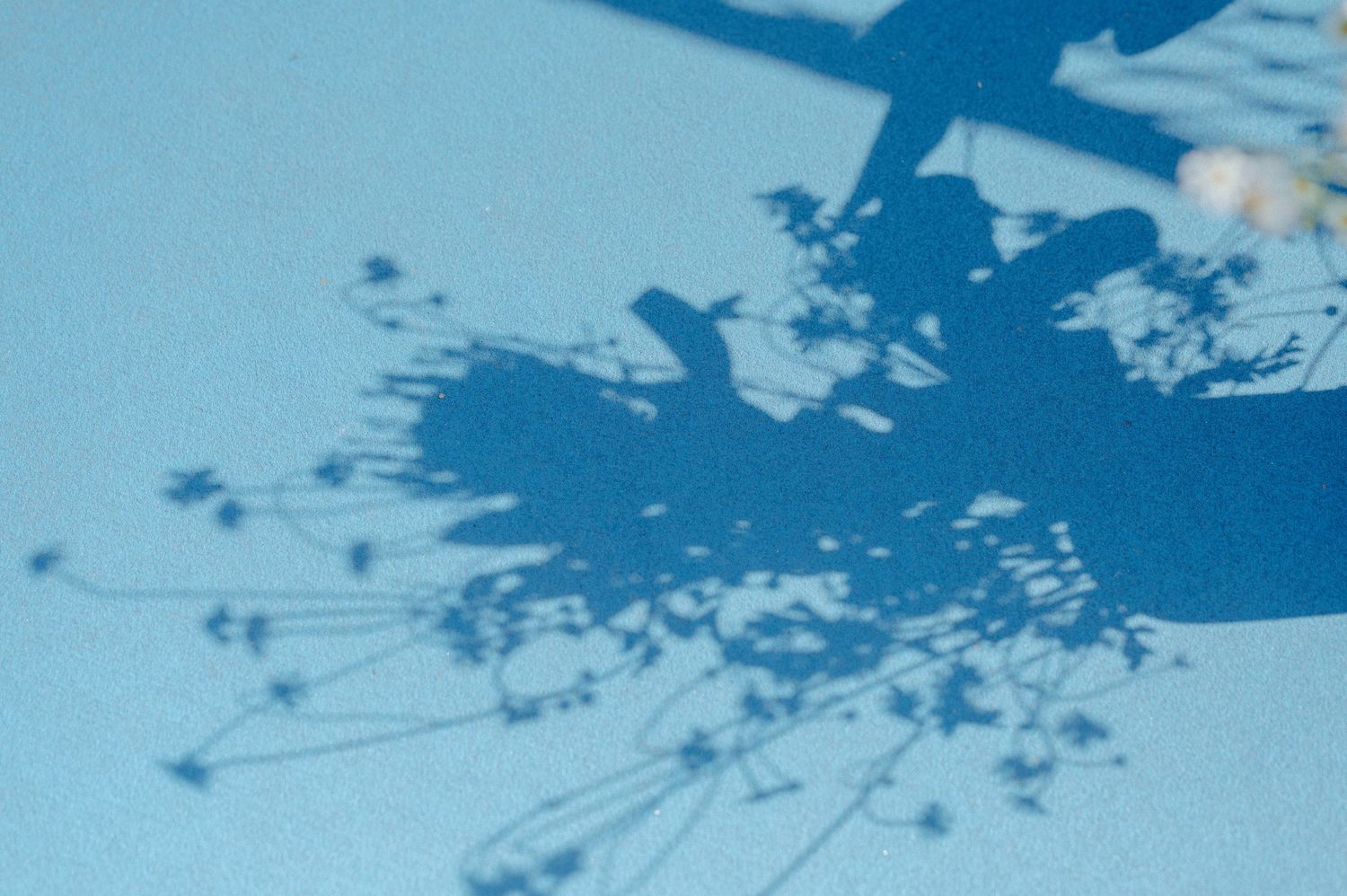A bouquet of flowers form abstract patterns against a blue background with their shadows.