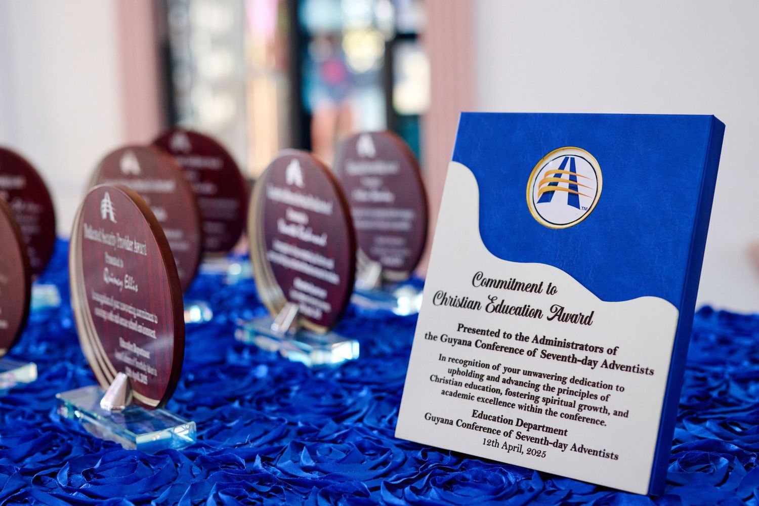 Professional achievement awards with text displayed on blue decorative fabric.