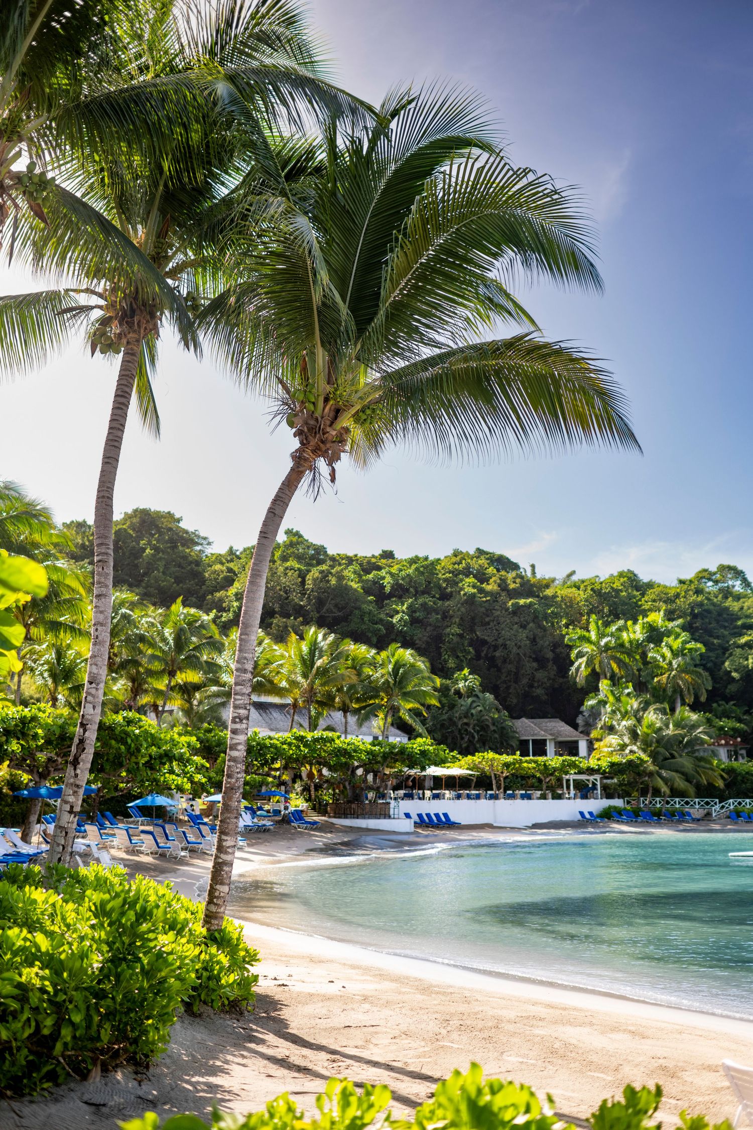 Scenic tropical beach panorama with palm trees, white sand, and crystal clear turquoise water at a luxury resort.