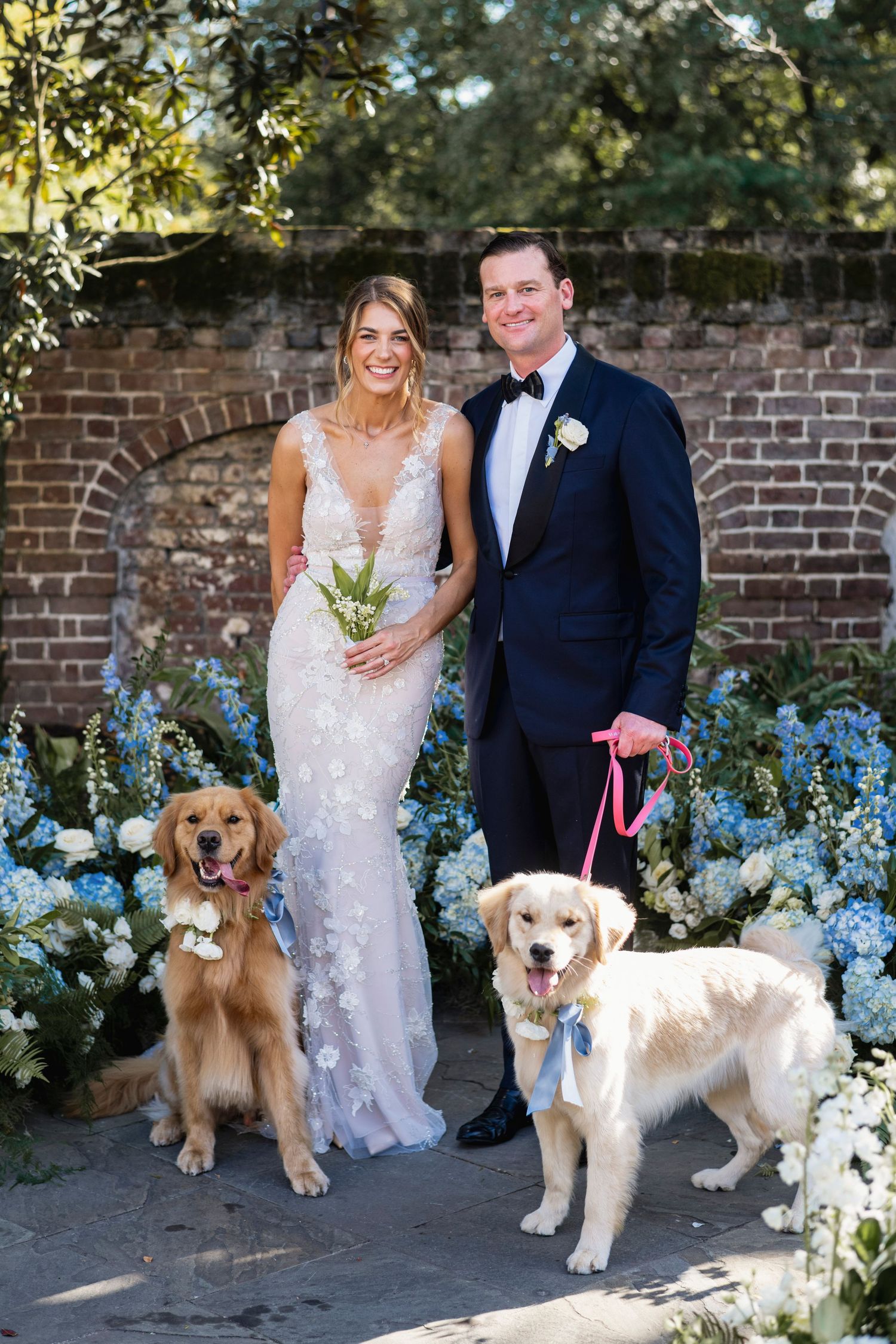 A couple poses with their golden retriever dogs against a brick wall with blue hydrangeas.