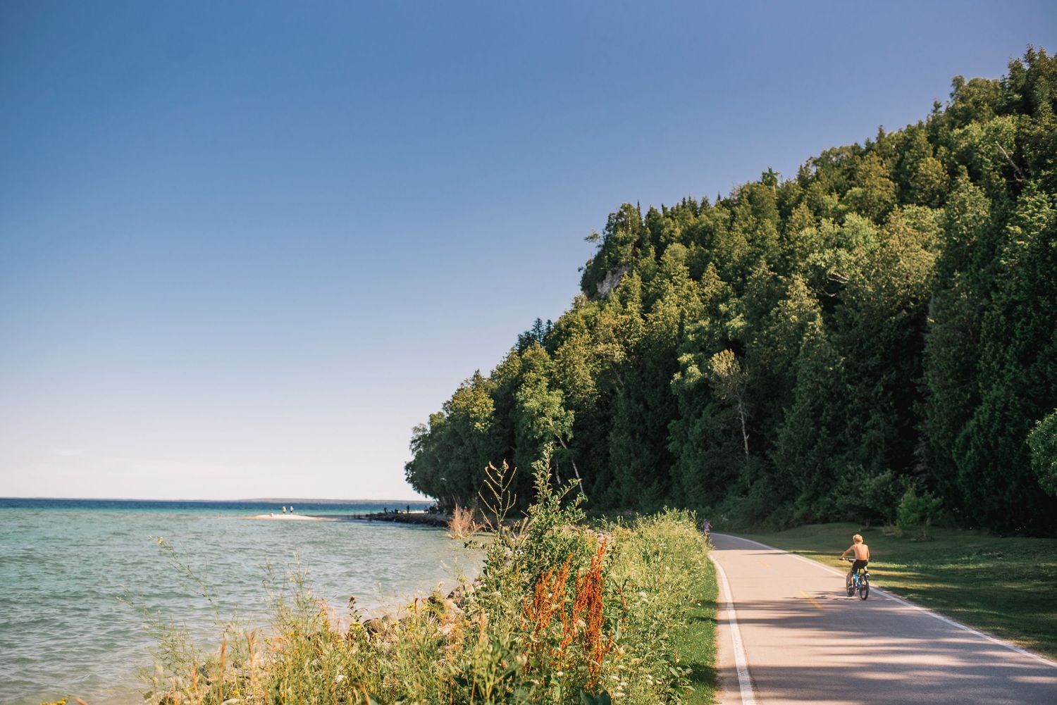 Scenic coastal path winds through green forest alongside tranquil lake waters.