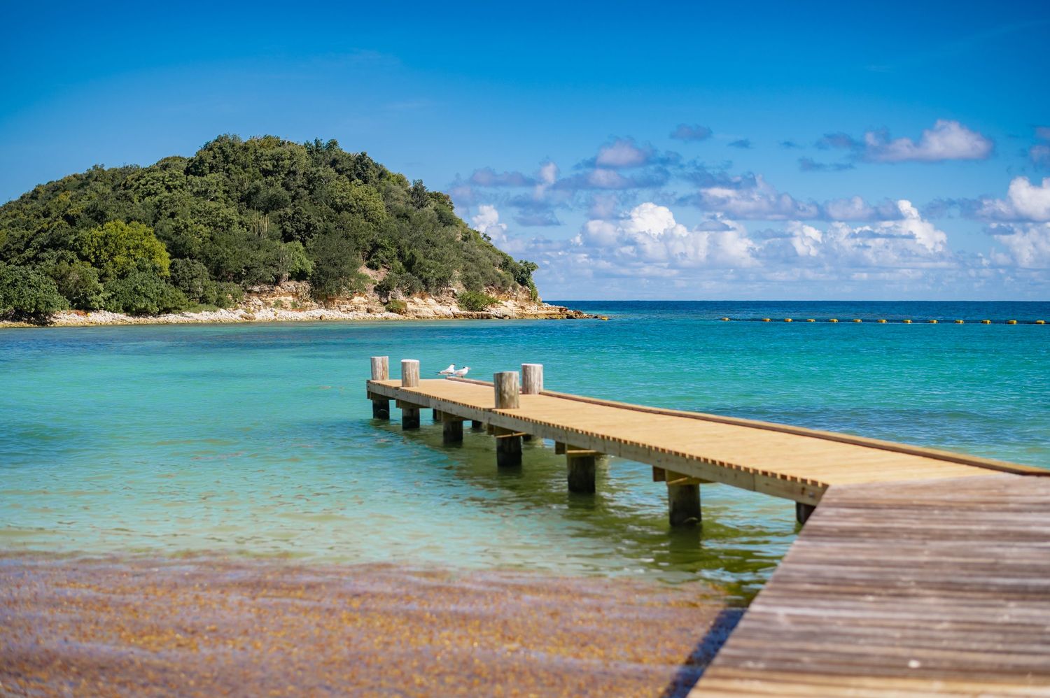 Wooden pier stretches into crystal clear turquoise waters of tropical beach paradise.