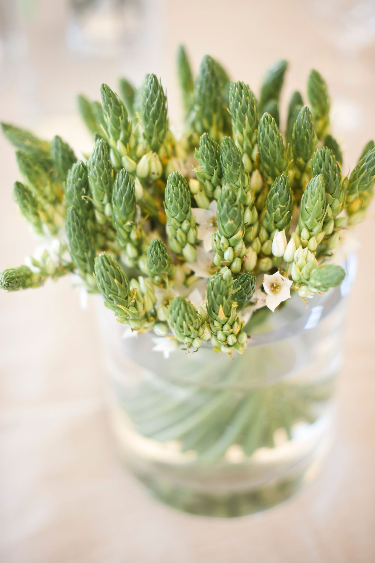 Fresh green asparagus spears with delicate white blossoms arranged in a clear glass vase against a soft light background.
