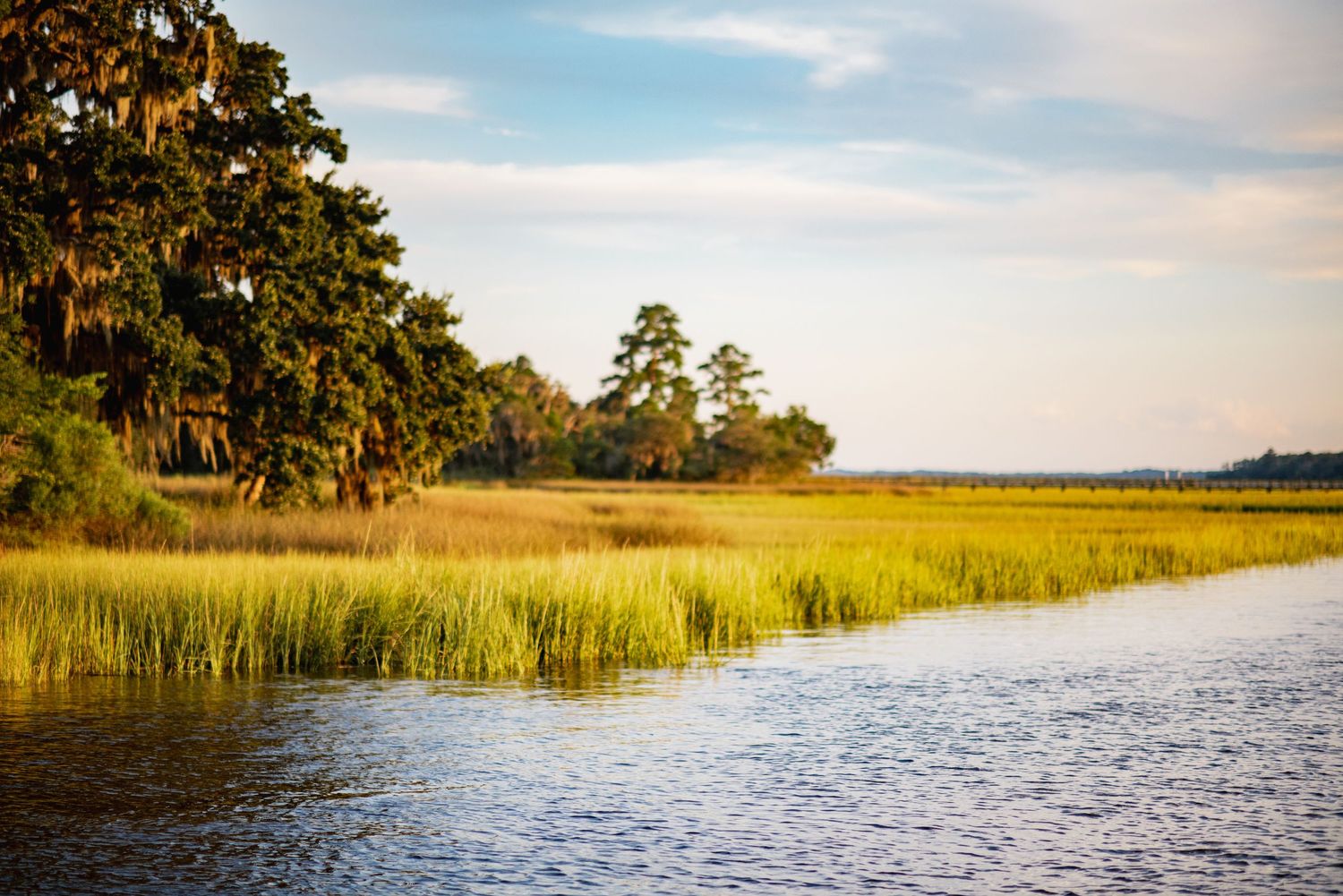 Scenic view of a winding coastal marsh with tall grass and trees along the waterway under a blue sky.