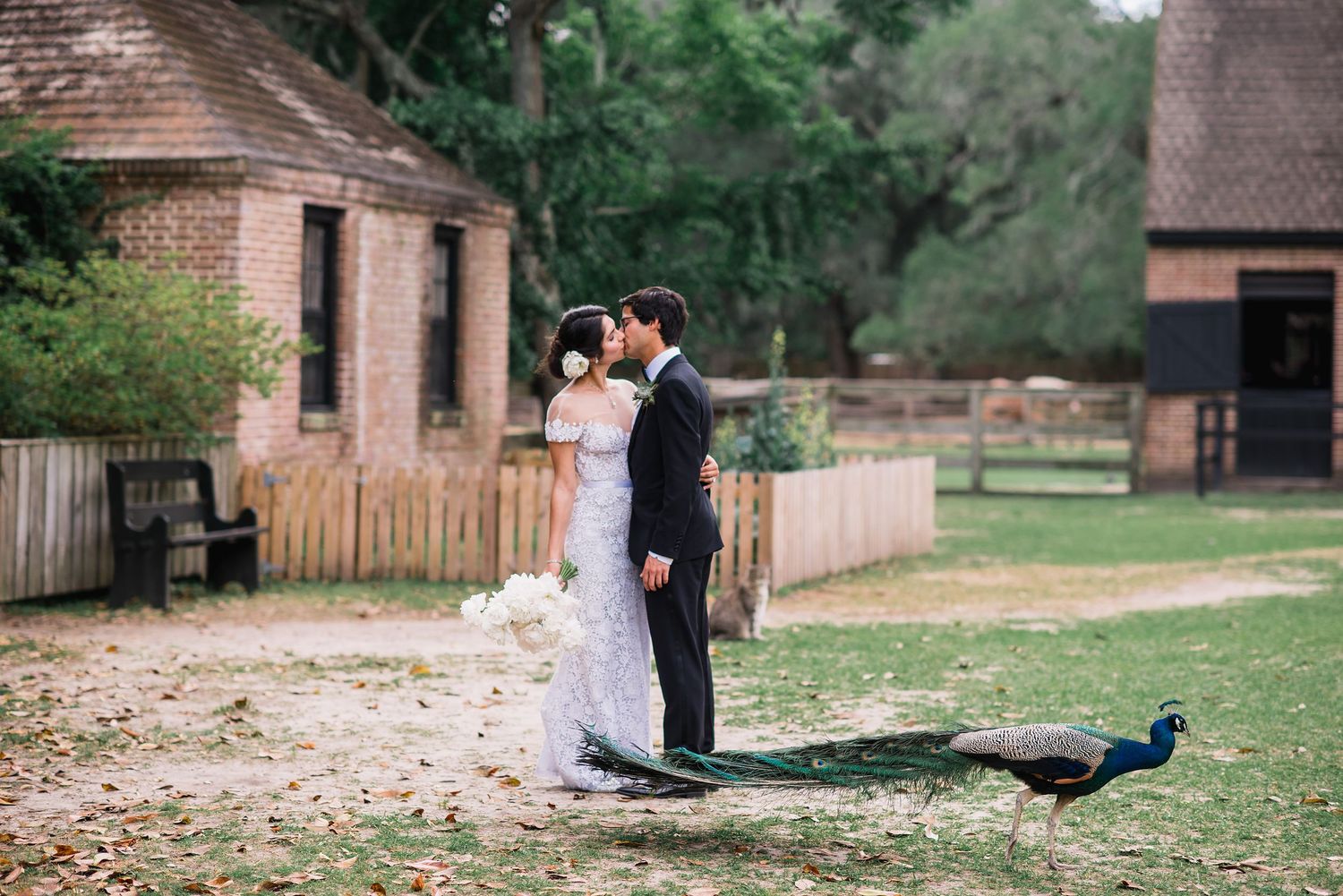 A couple shares a romantic moment on a dirt path at a rustic farm setting while a peacock walks nearby.