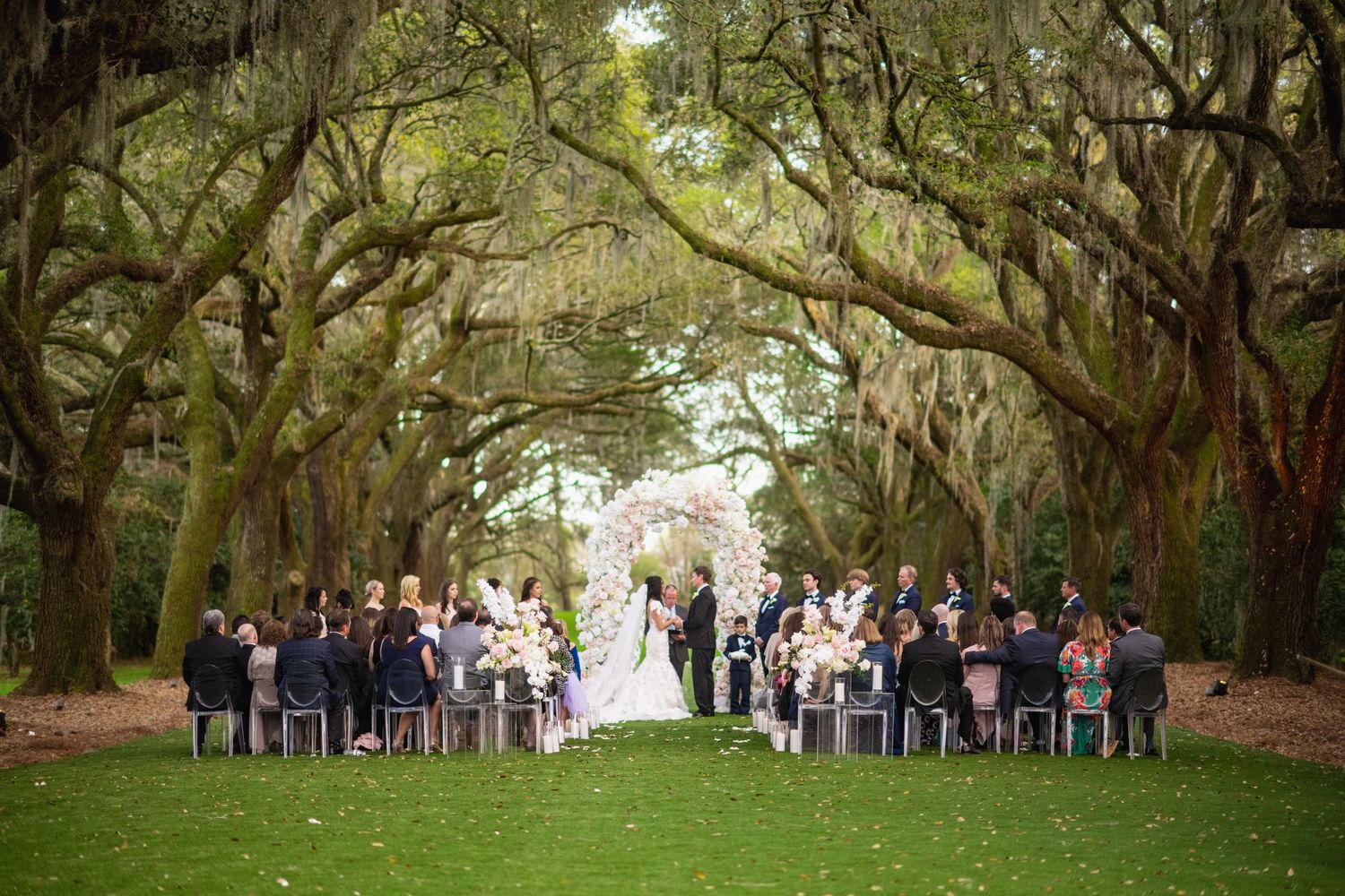 A group of people gather under a canopy of majestic oak trees for an outdoor event in a natural setting.