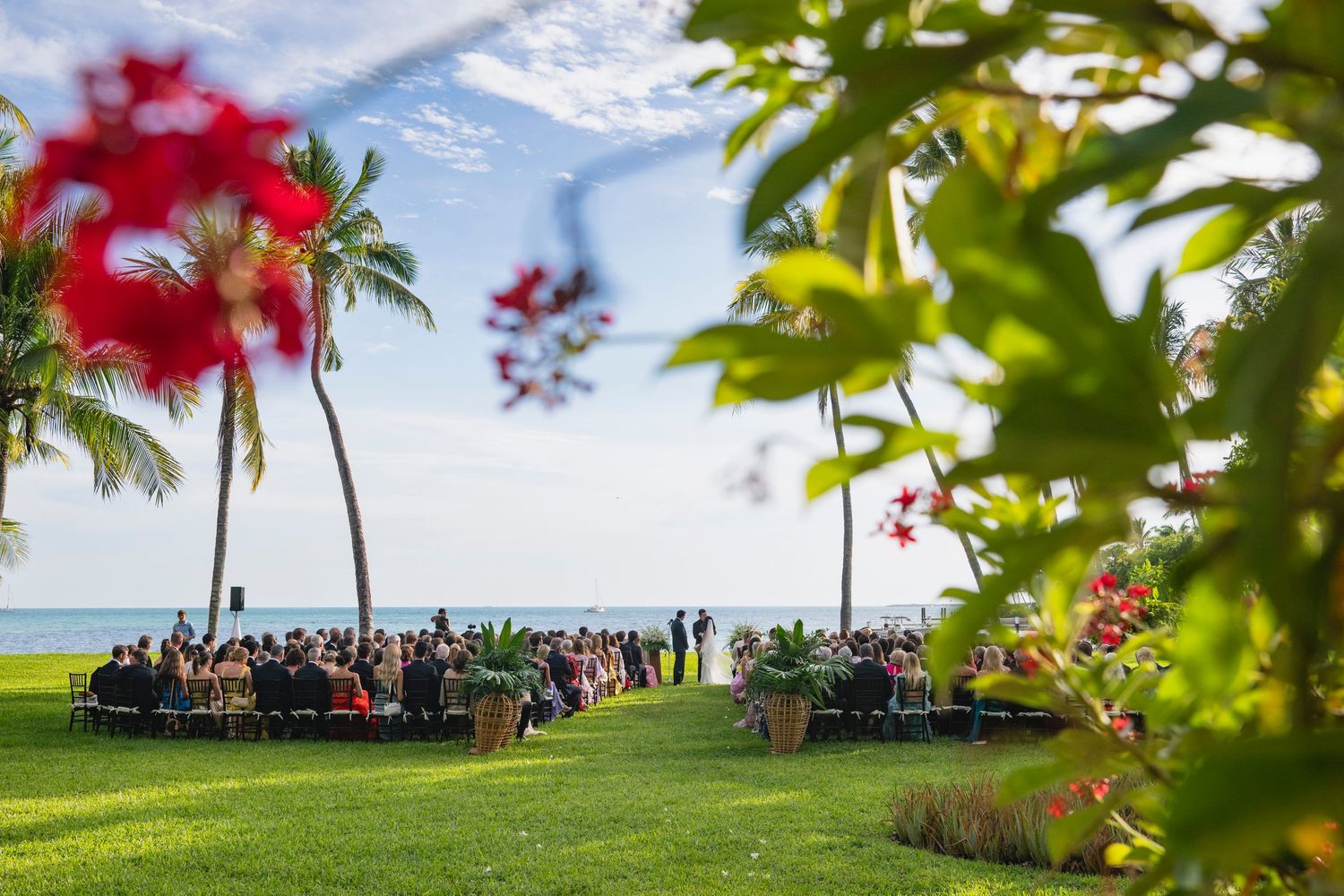 Large group of wedding guests gather under palm trees on a scenic oceanfront lawn for a panoramic group photo.