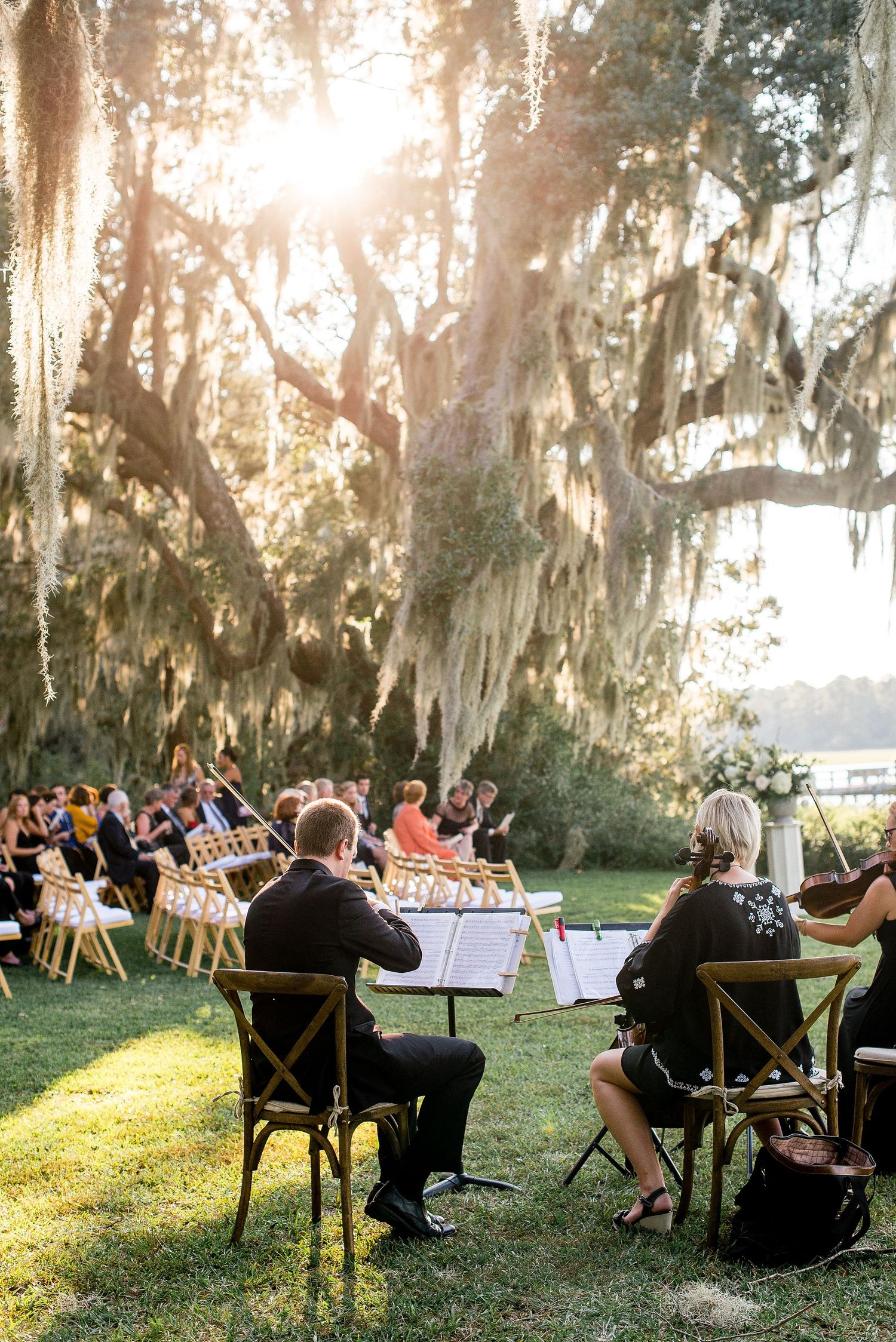 Guests seated in wooden chairs on a lawn beneath Spanish moss-draped trees at an outdoor wedding ceremony at sunset.