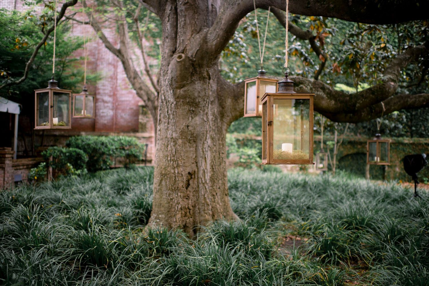 Wooden lanterns hang from tree branches in a lush garden setting creating a magical atmosphere.