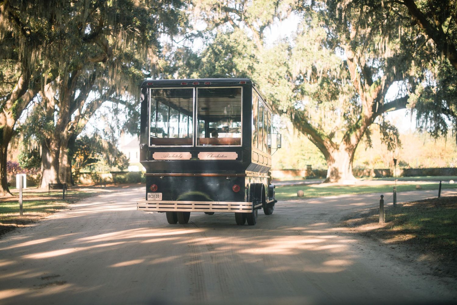 Panoramic view of a tree-lined outdoor venue with Spanish moss hanging from oak trees at sunset.