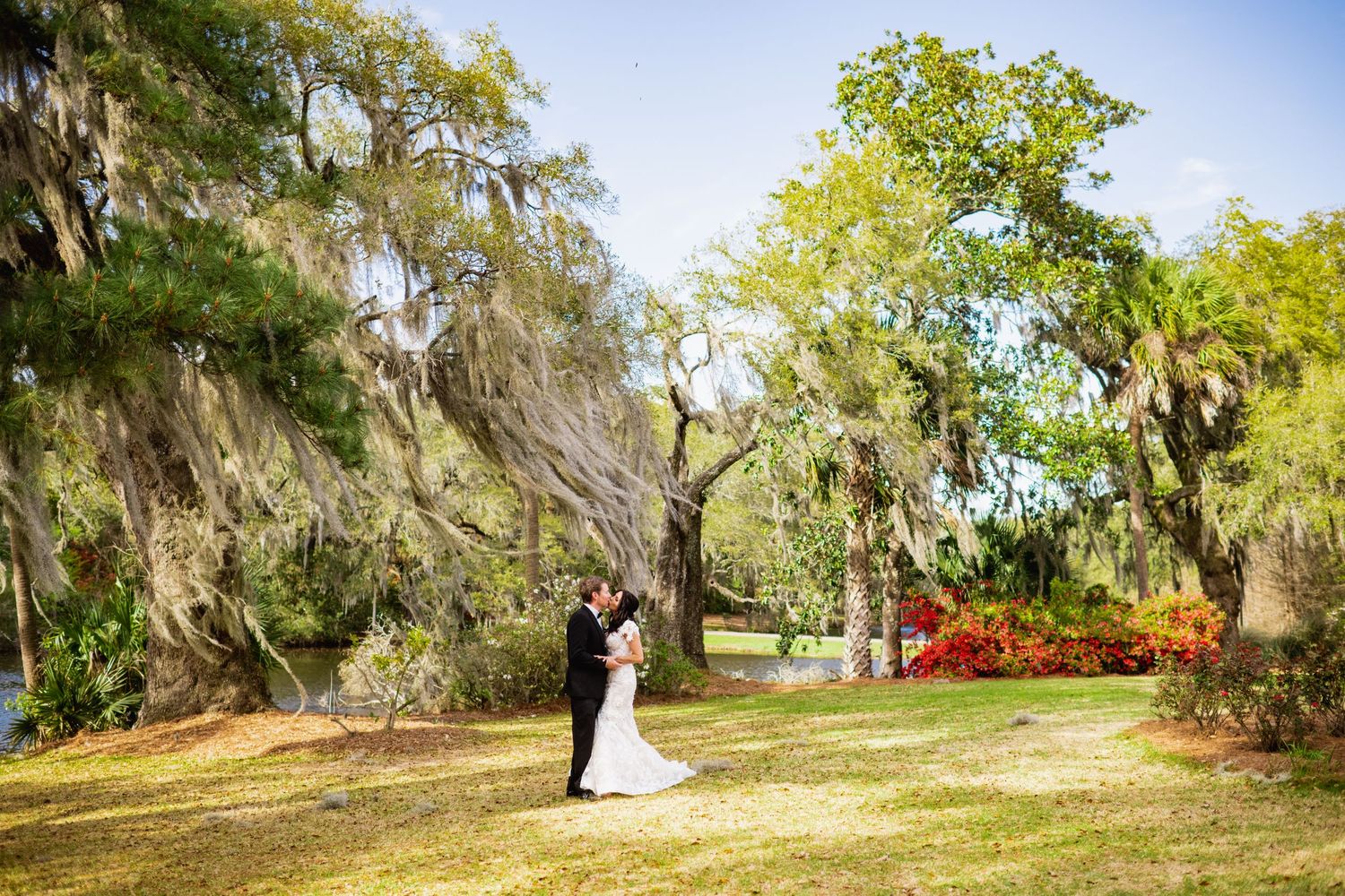 Spanish moss drapes elegantly over oak trees in a lush Southern garden setting during a wedding celebration.