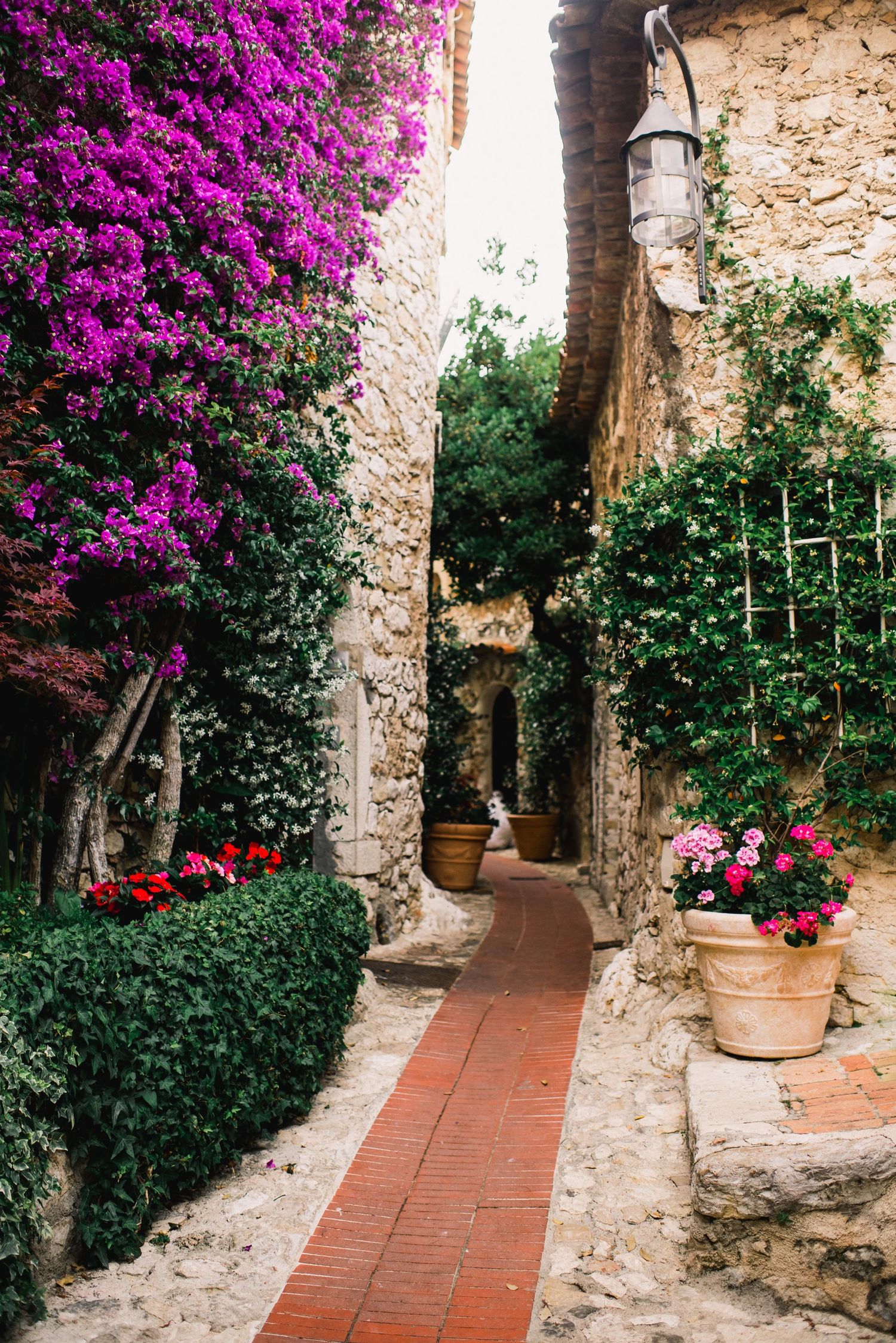 Charming stone pathway lined with vibrant purple bougainvillea and potted flowers in a Mediterranean village.