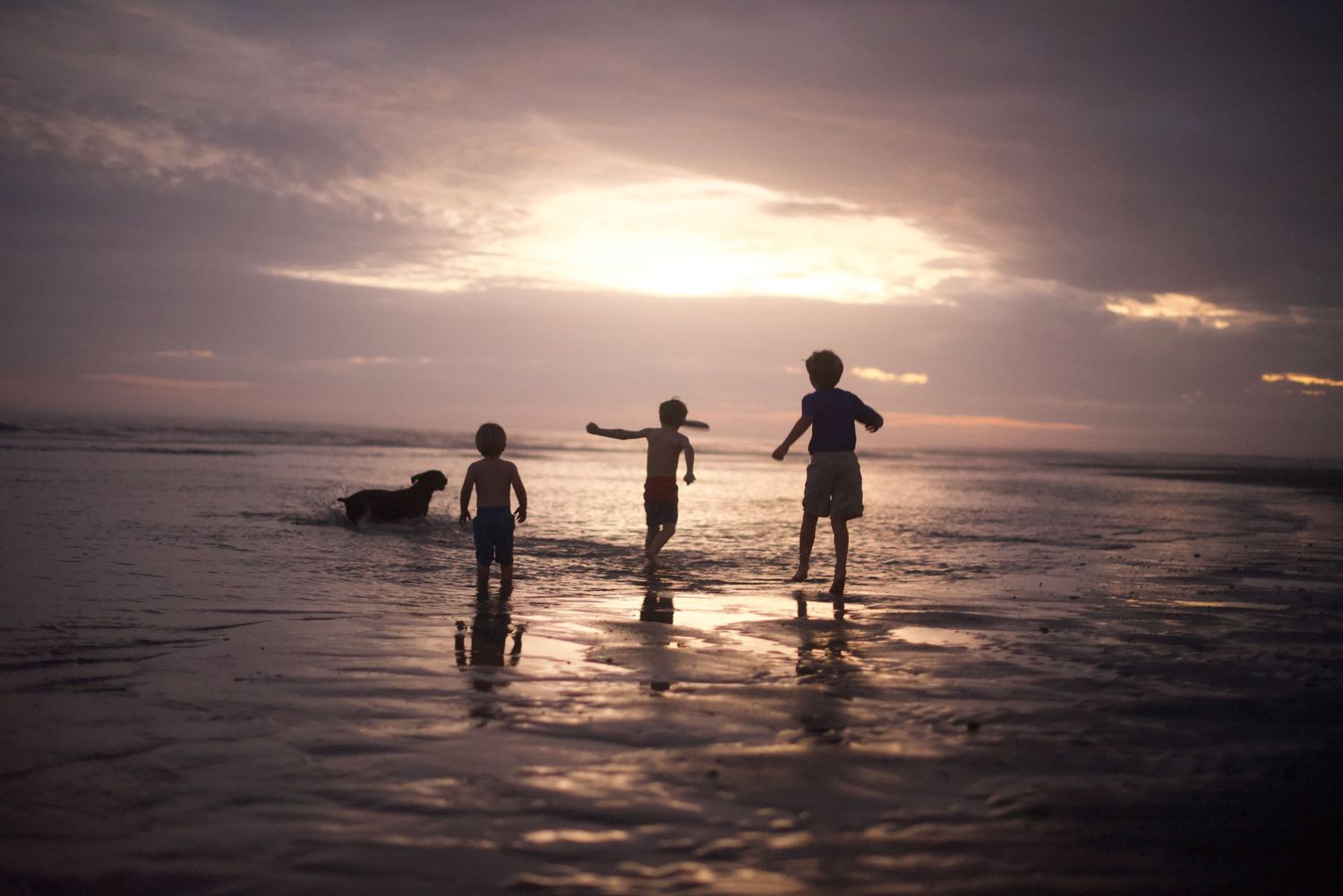 Silhouettes of people wading in calm ocean waters during a golden sunset.