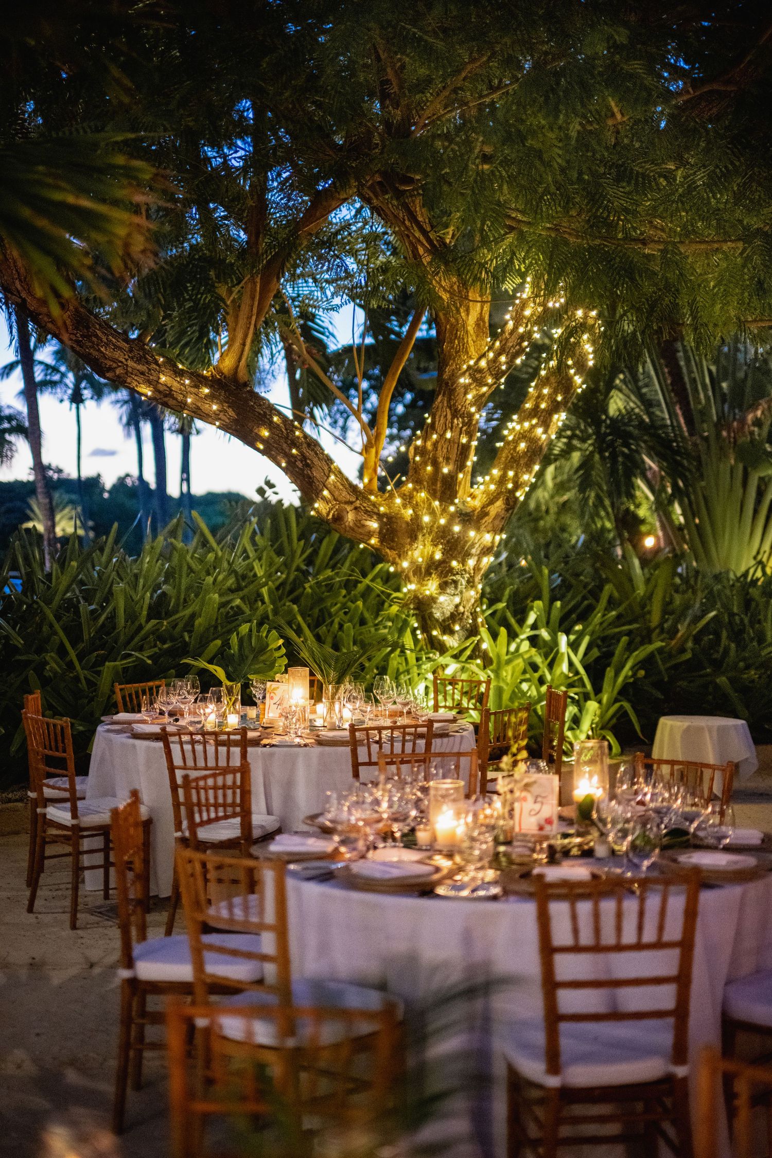 Romantic outdoor wedding reception tables set under palm trees with twinkling lights and glowing candles at dusk.
