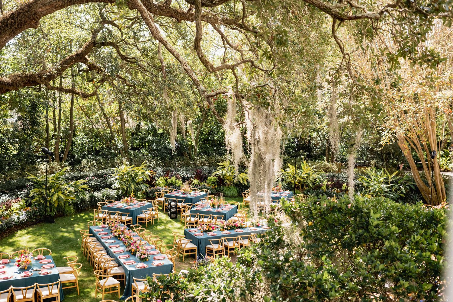 Long banquet tables with blue linens arranged outdoors under majestic oak trees draped with Spanish moss.