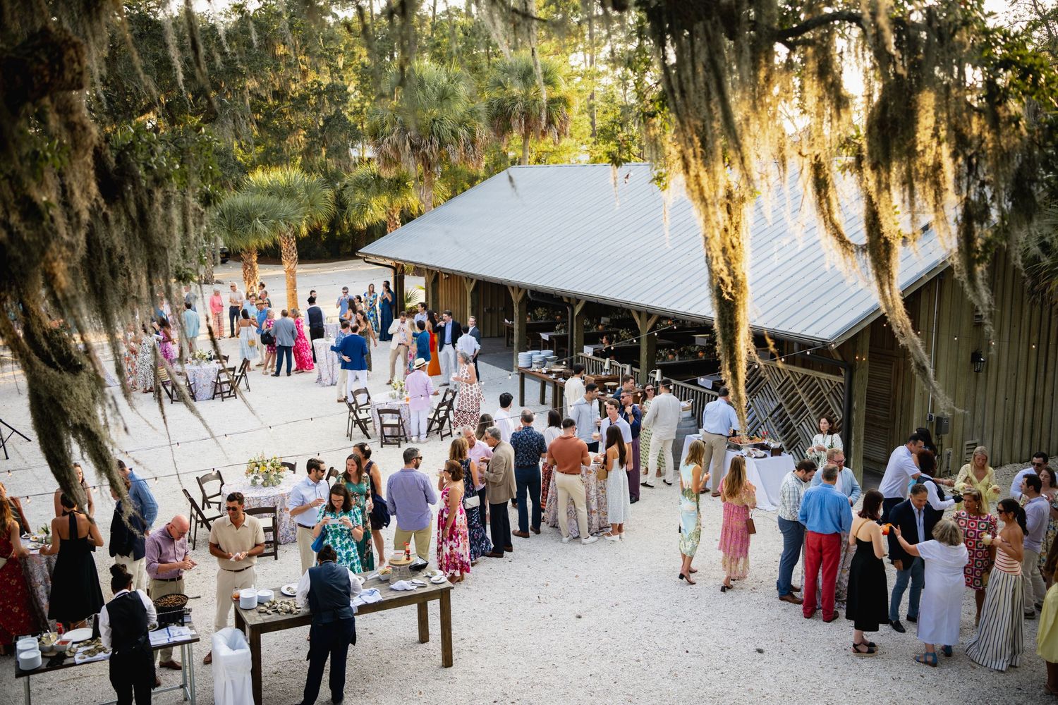Wedding guests gather under Spanish moss-draped trees during an outdoor ceremony at sunset.