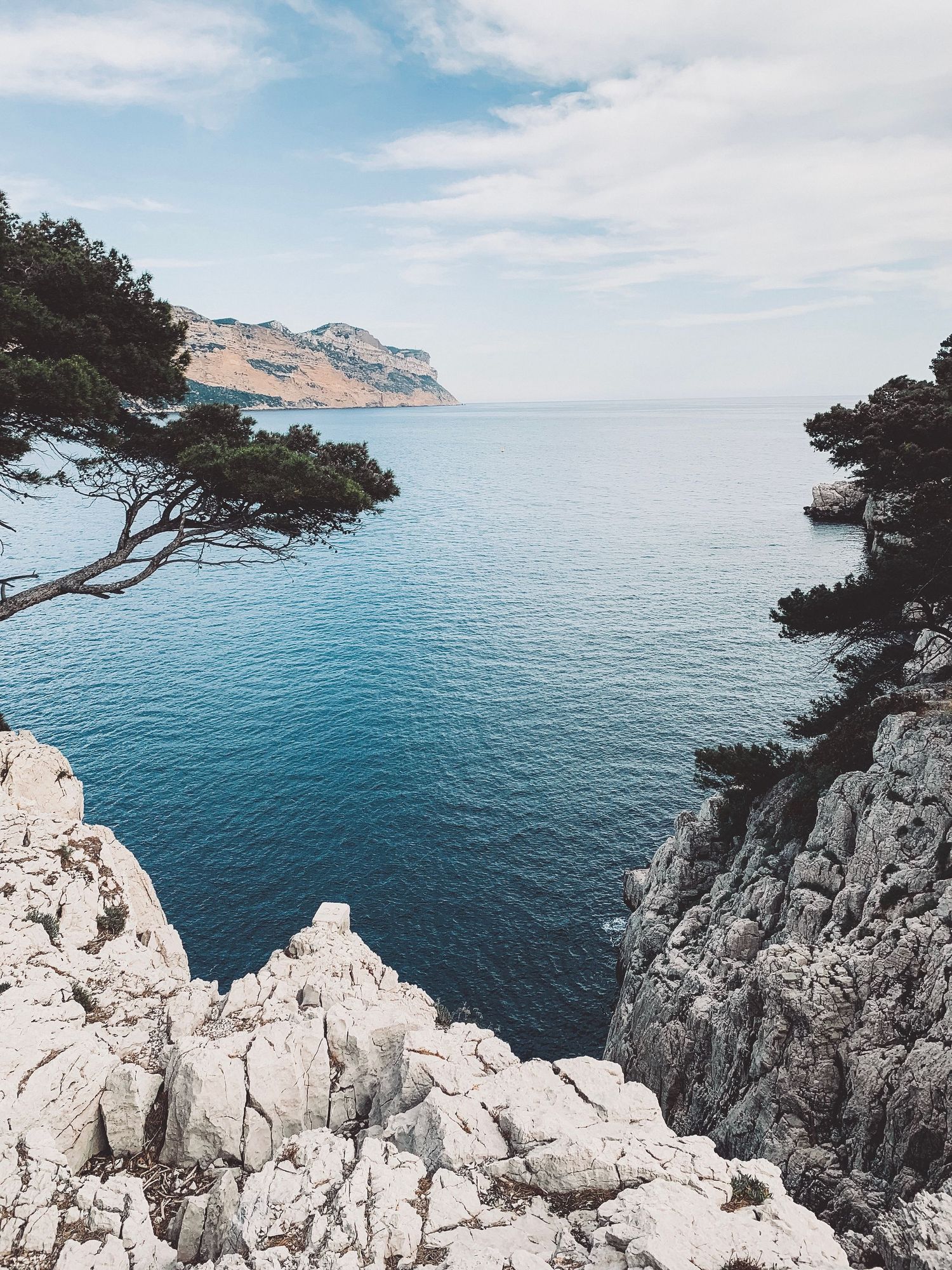 Dramatic coastal view of blue Mediterranean waters in Cassis 21framed by rocky cliffs and pine trees.