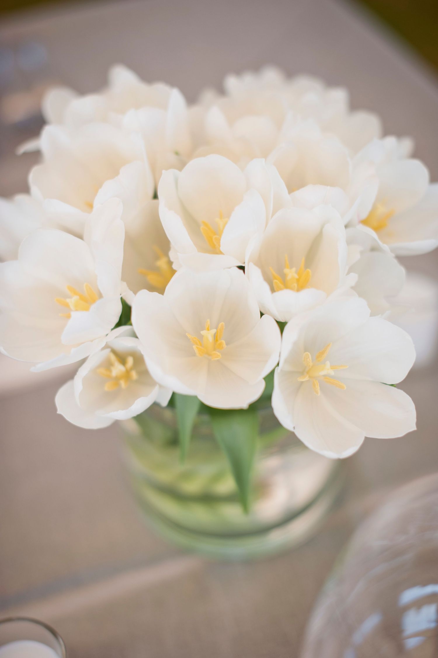 A series of delicate white tulips with yellow centers arranged in glass vases against a soft neutral background.