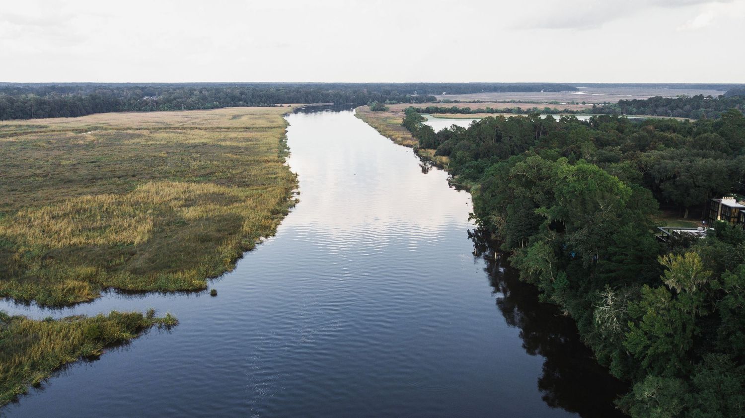 Aerial view of a winding river with green forests and marshland along its banks on a sunny day.