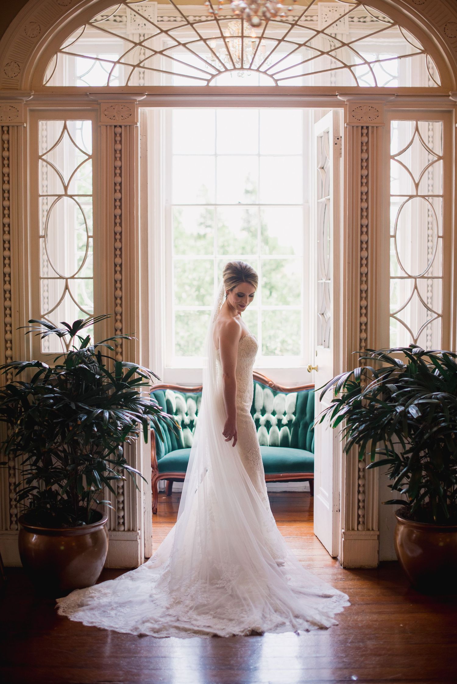 A wedding dress silhouette is captured in a series of elegant poses against ornate windows in a sunlit room with potted plants.
