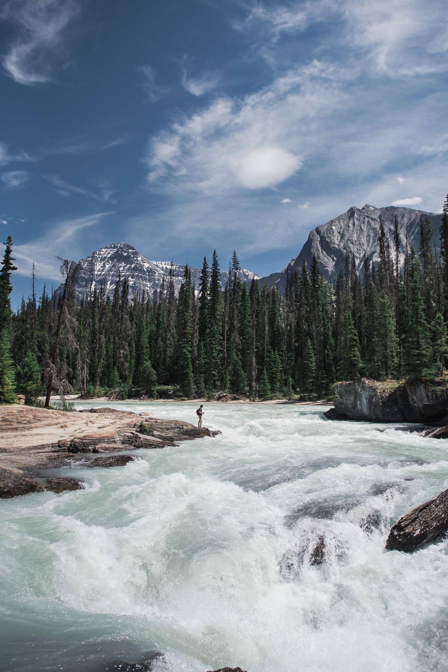 Dramatic white water rapids flowing through mountain landscape with evergreen forest.