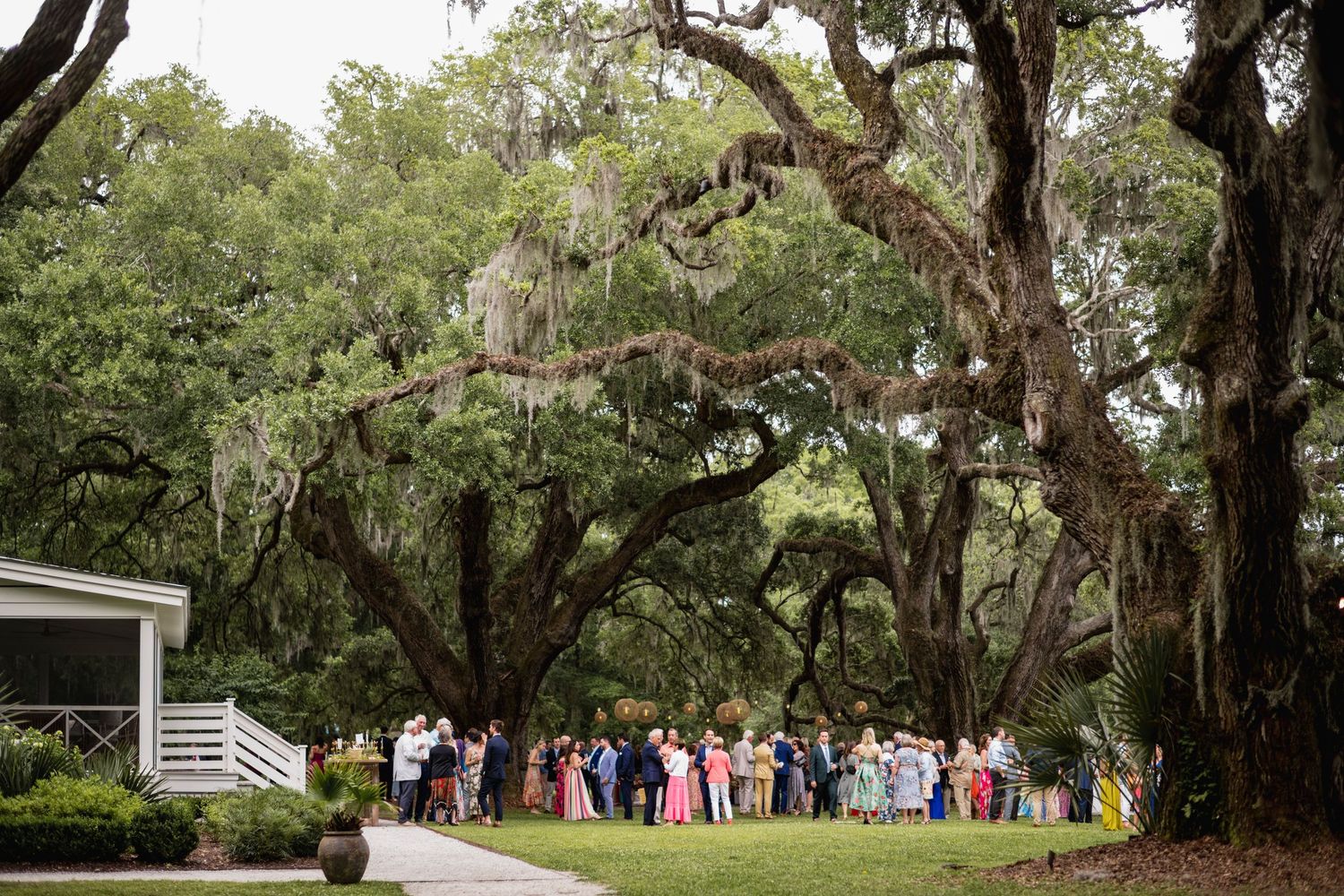 A scenic oak tree-lined path with Spanish moss draping over a white fence leads through a Southern garden landscape.