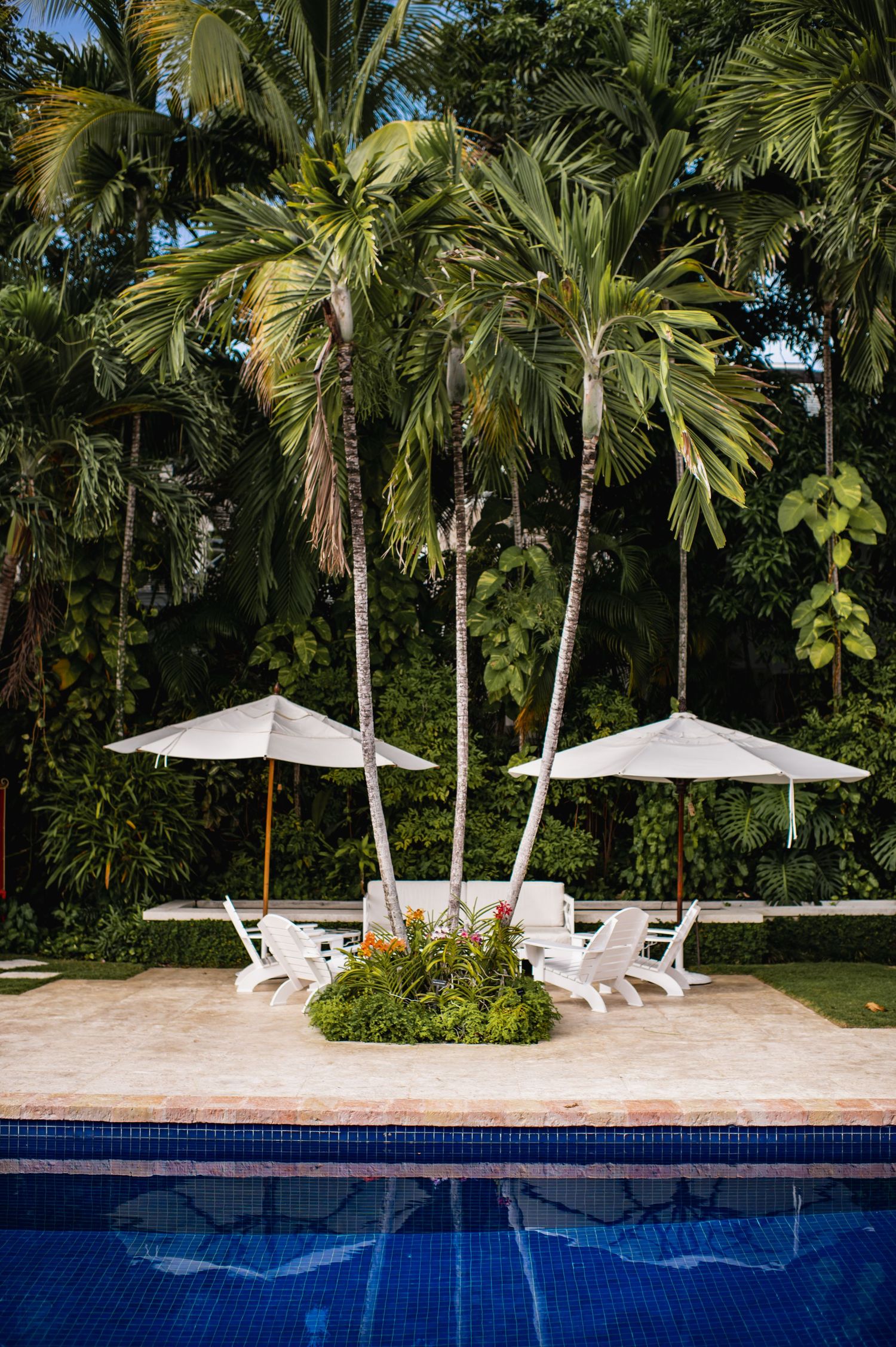 Luxurious poolside setting with white umbrellas and lounge chairs surrounded by tall tropical palm trees in a resort garden.