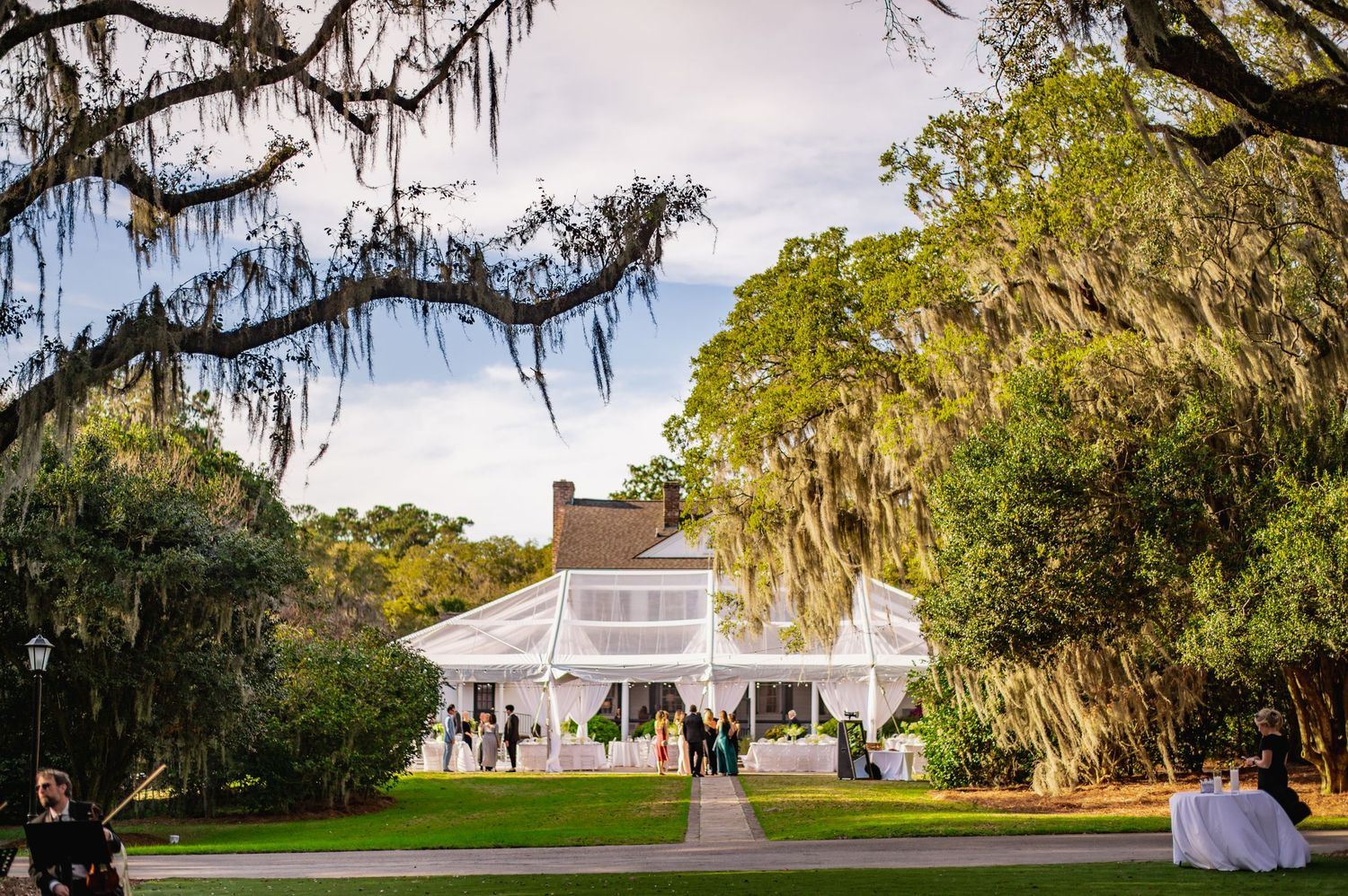 Spanish moss drapes over oak trees along a pathway leading to a white antebellum mansion in the Southern United States.