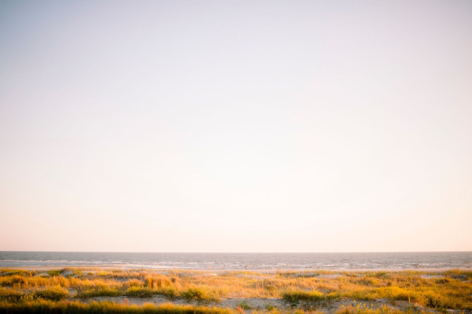 A scenic panoramic view of a vast desert landscape with golden sand dunes stretching to the horizon.