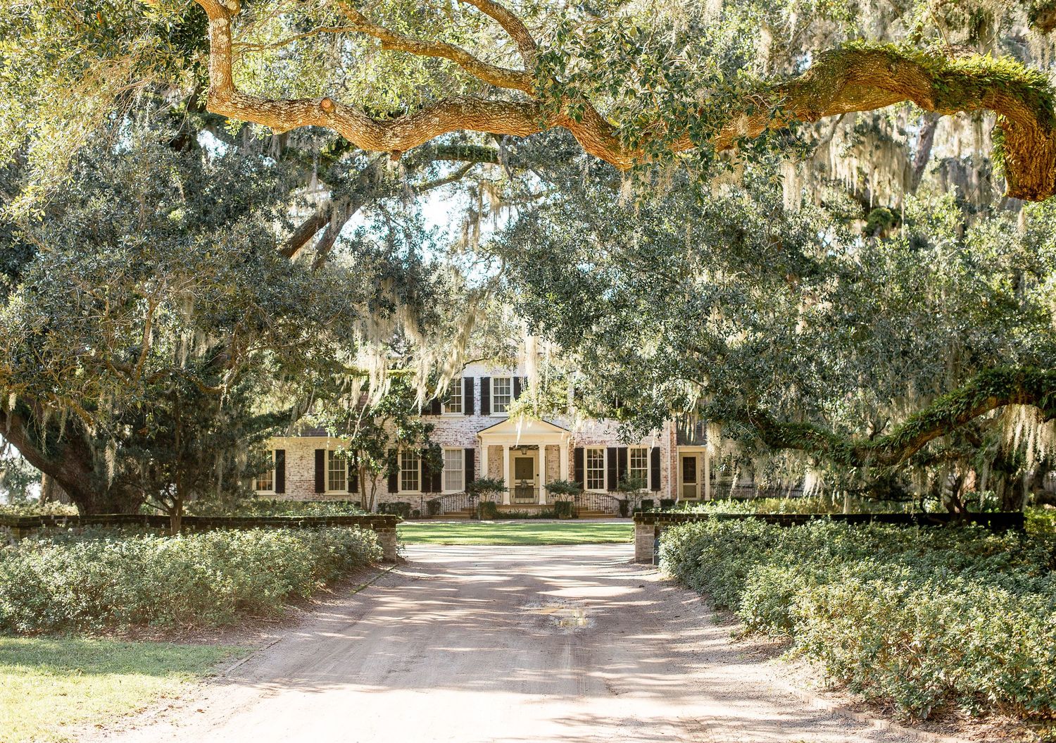 A scenic oak tree-lined driveway leads to a historic Southern plantation house on a sunny day.