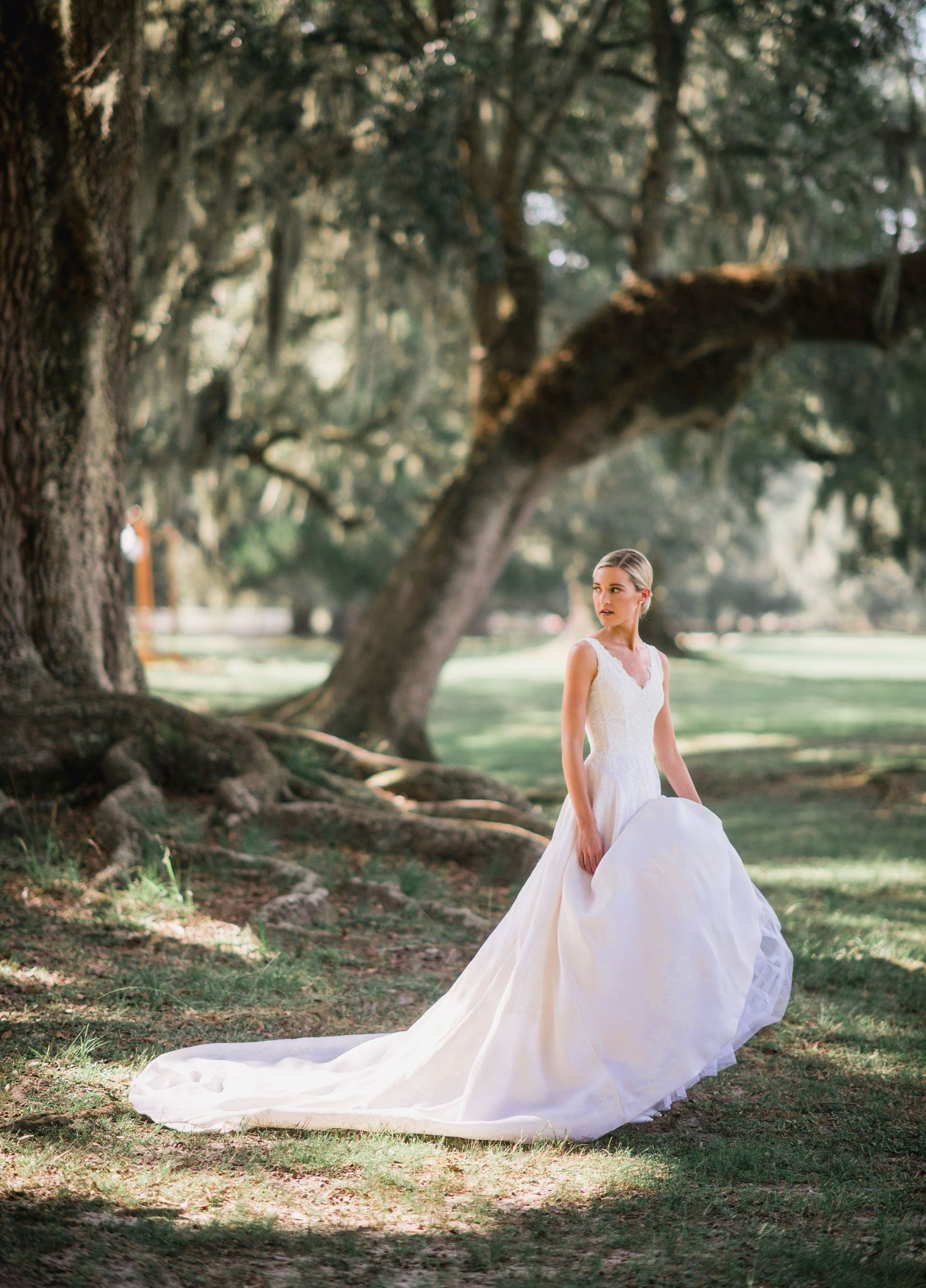 A flowing white wedding dress with a long train is showcased in a dreamy outdoor setting under Spanish moss-draped trees.