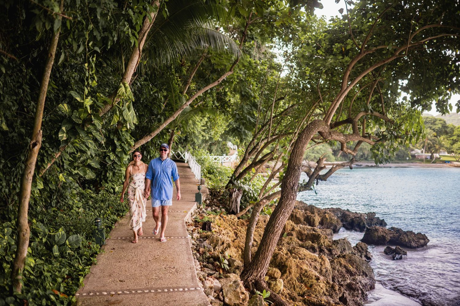 People walk along a scenic waterfront trail lined with mangrove trees and rocky shoreline at sunset.