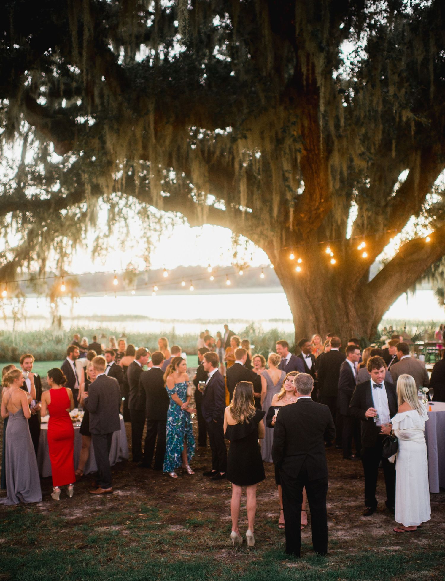 A large group of wedding guests gather under Spanish moss-draped trees at sunset during an outdoor reception.
