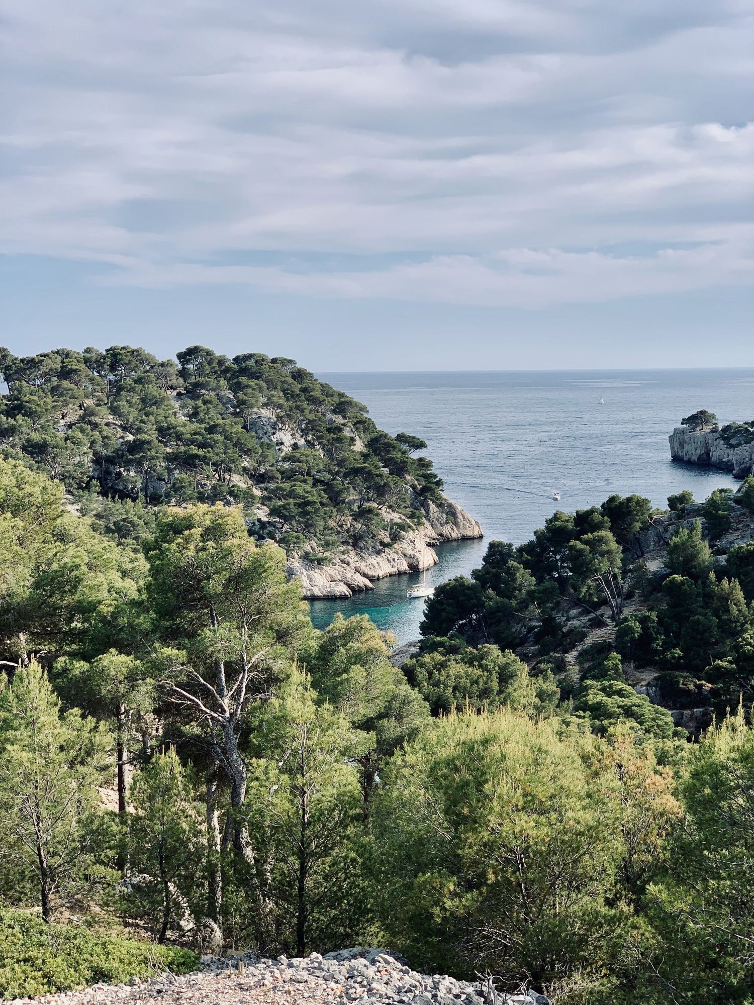 Panoramic coastal view of a Mediterranean bay with lush green forest and dramatic cliffs overlooking the sea.